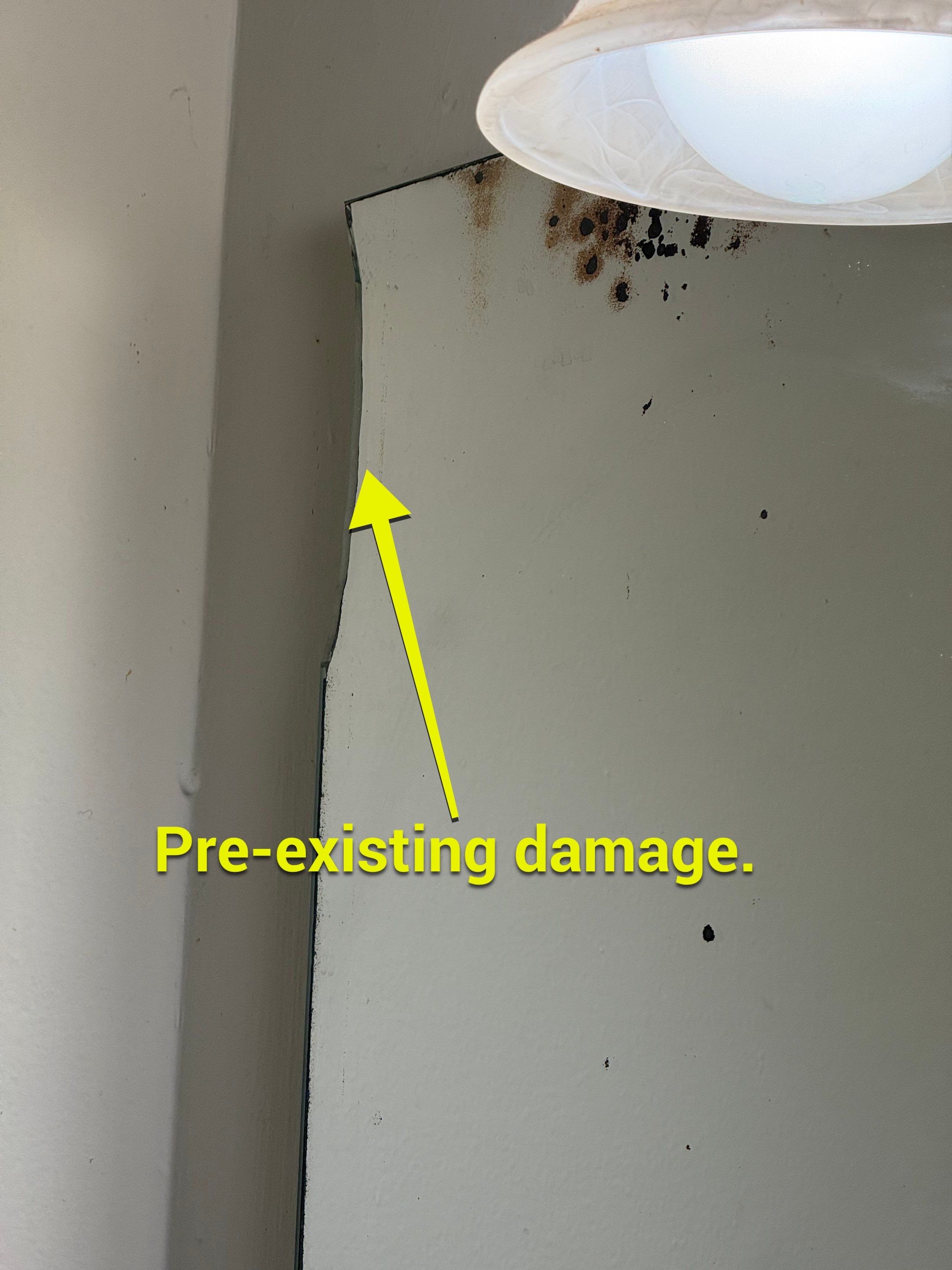 Project in Springfield by Restoration Doctor