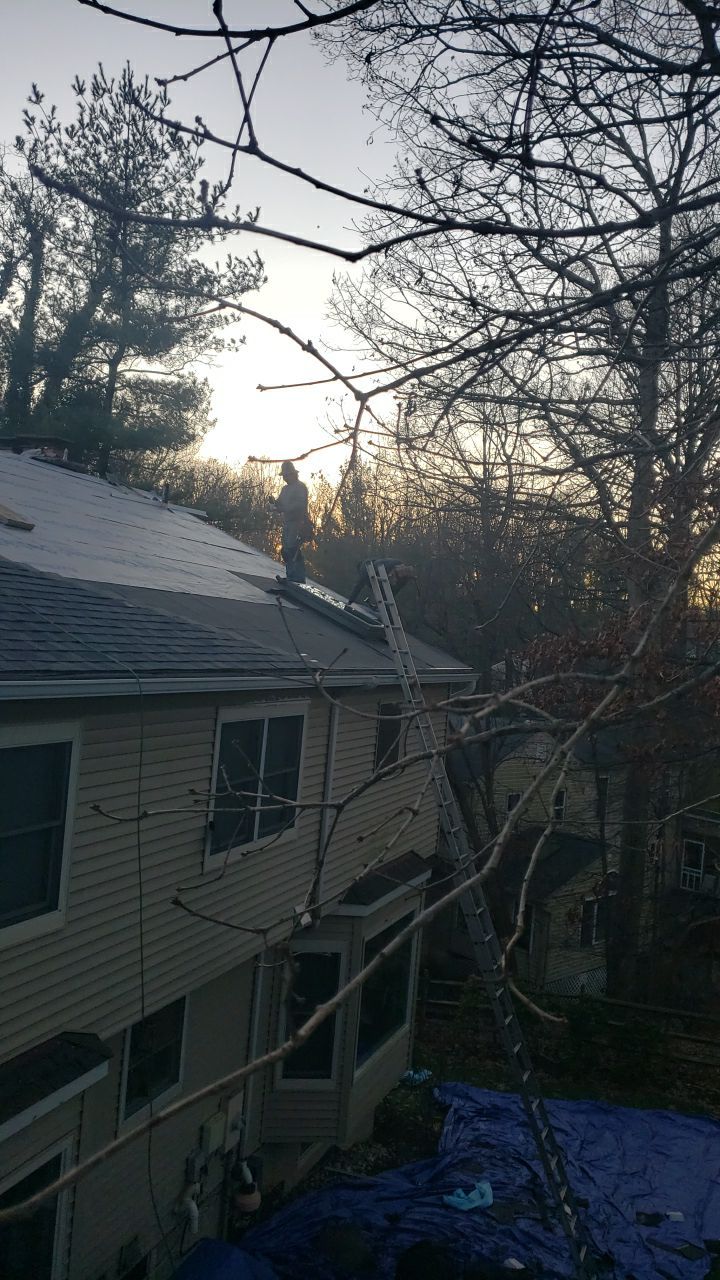 Vienna: Certainteed Landmark Pro Designer Shingles in Max Def Driftwood by RM Banning, Inc.