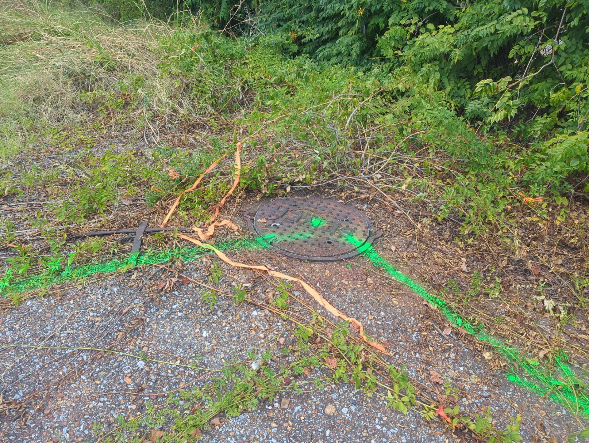 Utility Locate and Utility Mapping for Survey by Alsip Locating Service, LLC