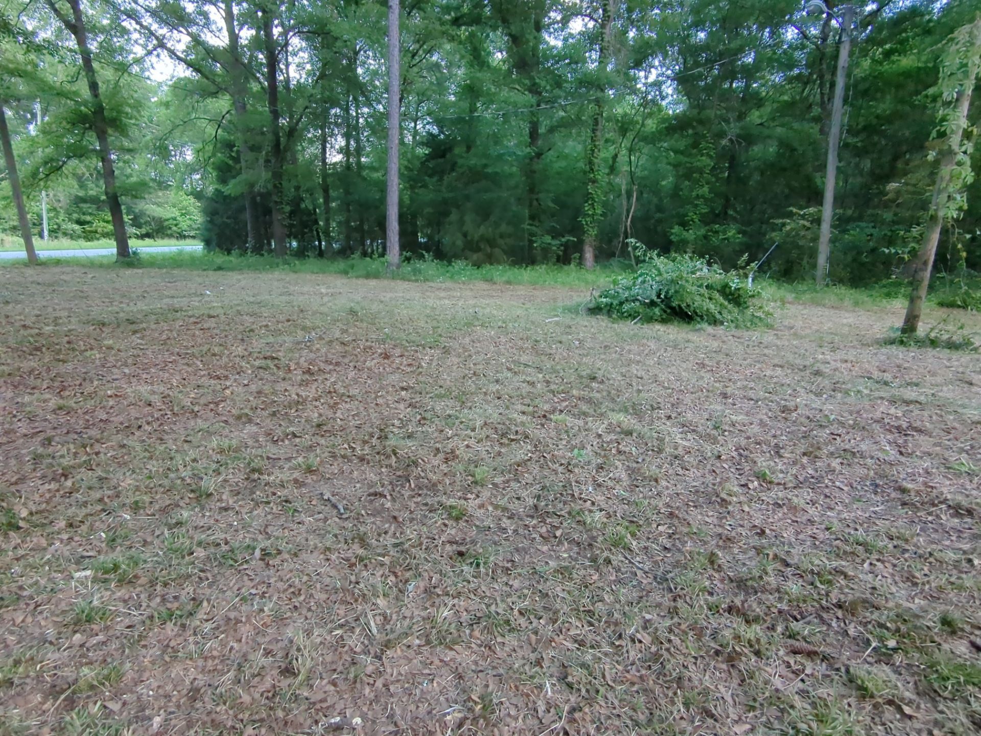 Exterior Clearing - tree trimming - grass cut by Swift Signings and Services LLC