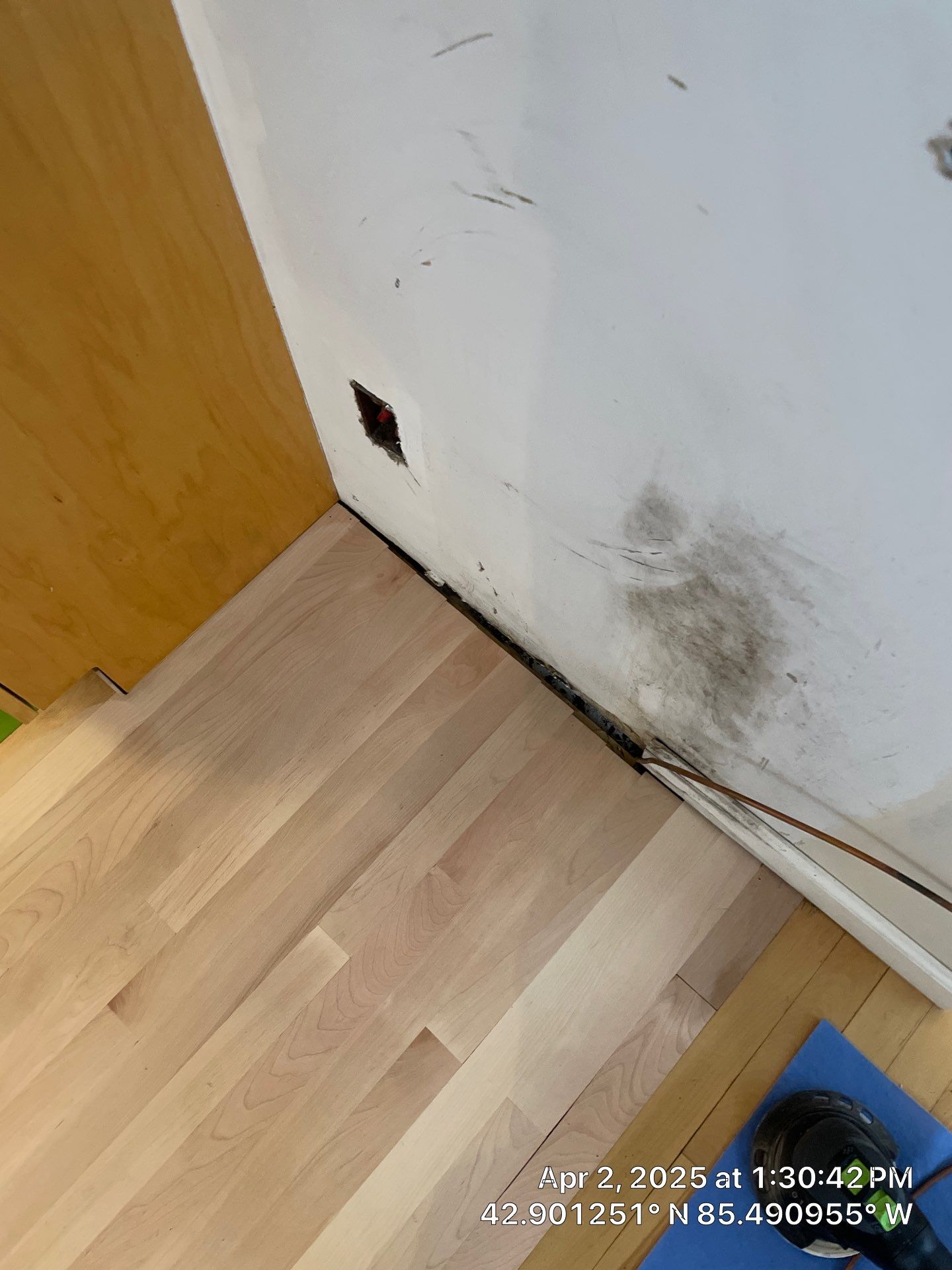 Water Damage Restoration On Solid Birch by RTBaldwin Hardwood Floors