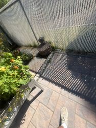 Gutter Cleaning in Roseland, NJ — Gallo Bros job photo