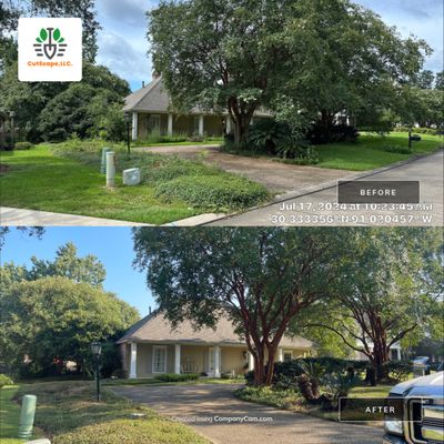 LANDSCAPE SERVICES: CLEAN OUT / TRIM / BRUSH DEBRIS REMOVAL