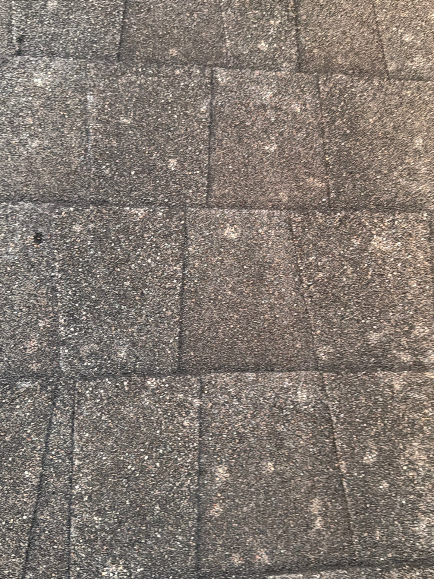 Chad Inspect by Boss Hogg Roofing