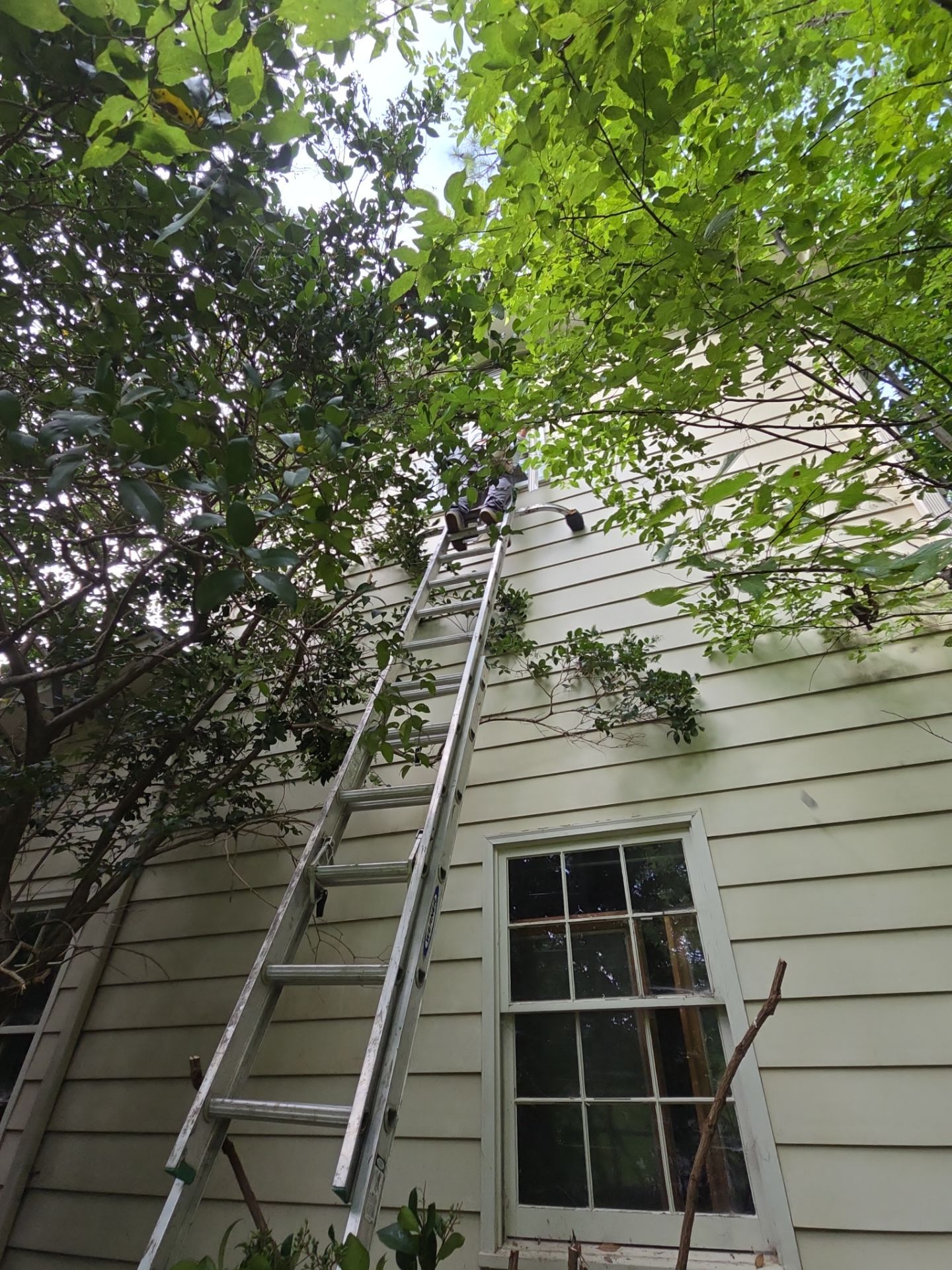 Project in Mountain Brook by The Window Source