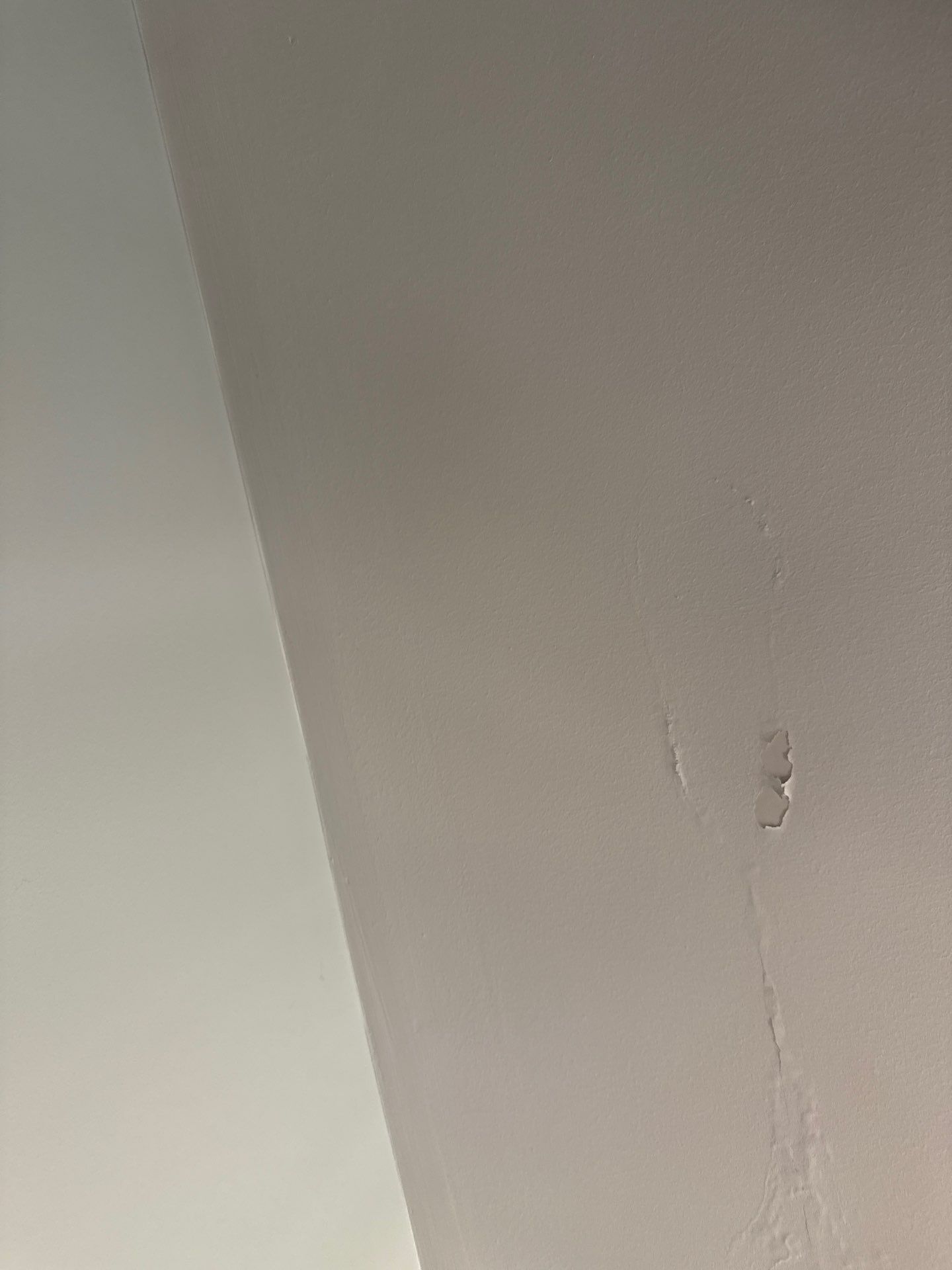 Roof Repair with Shingle Replacement – Chelmsford, MA by Mighty Dog Roofing of Greater Middlesex County