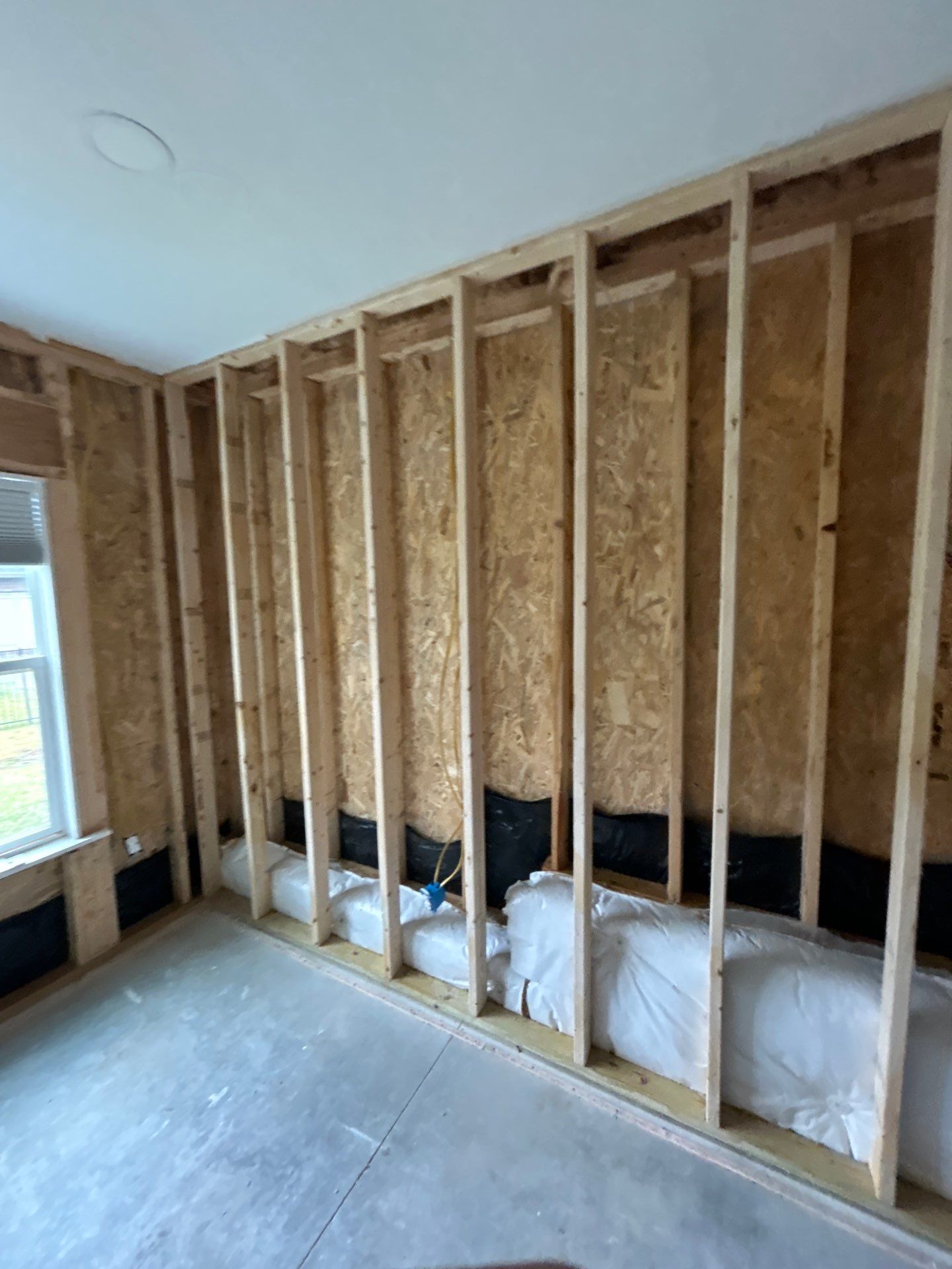 Mold/Water Remediation and Repairs in Floyds Knobs, IN by ANR Restoration