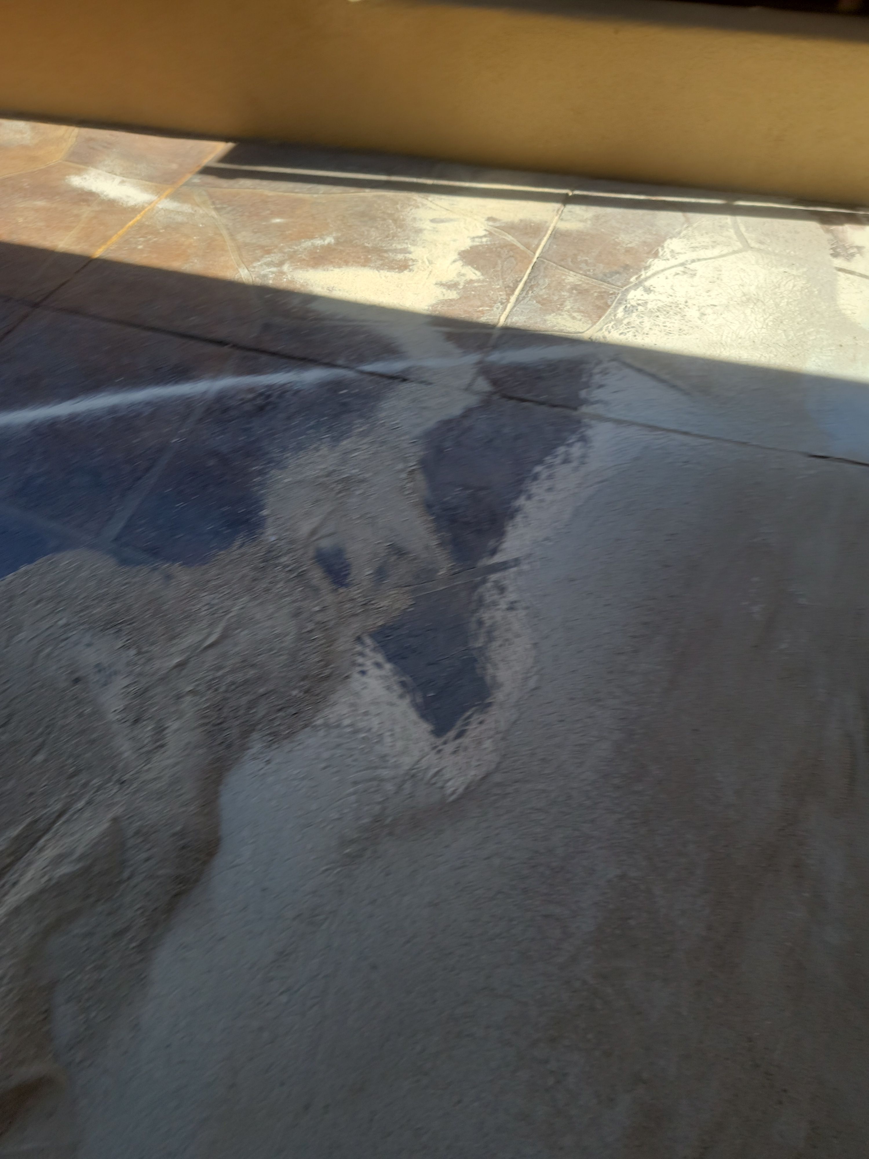 Quartz 2 tone Pool deck by Matt Gifford Painting LLC