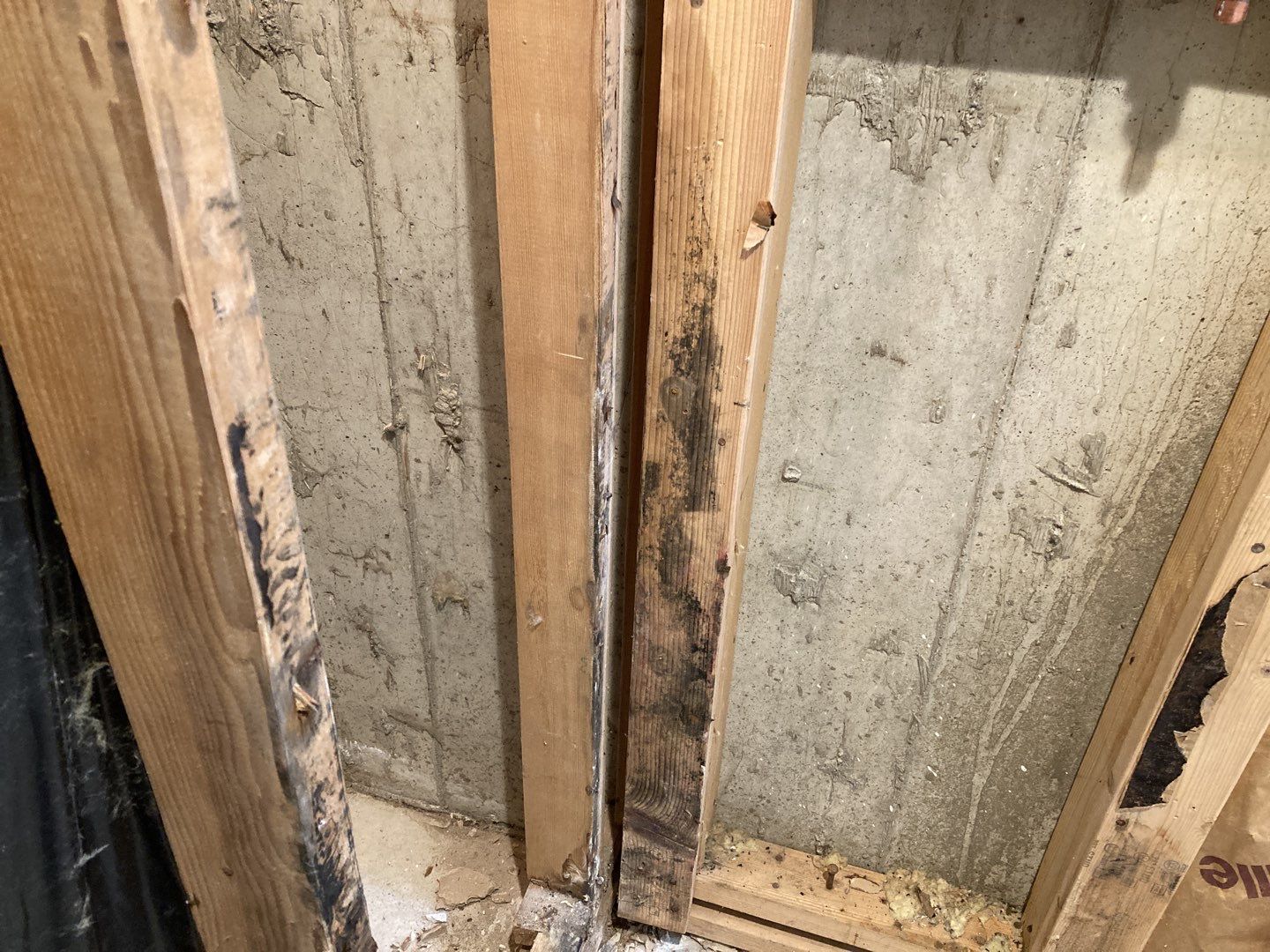 Mold Remediation by Accountable Home Services