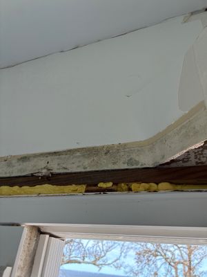 AC Leak Water Damage — Lehigh Acres, FL