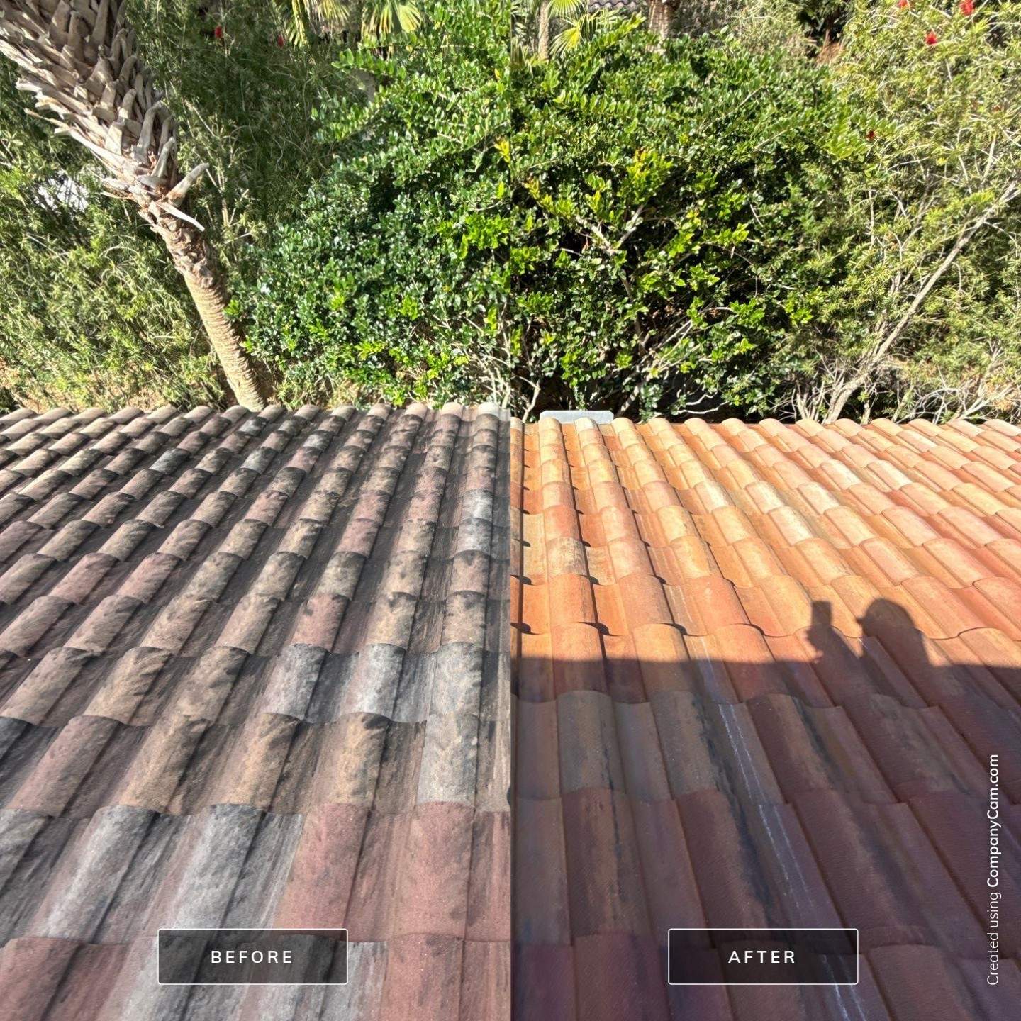 Tile Roof Cleaning by Mallard Systems