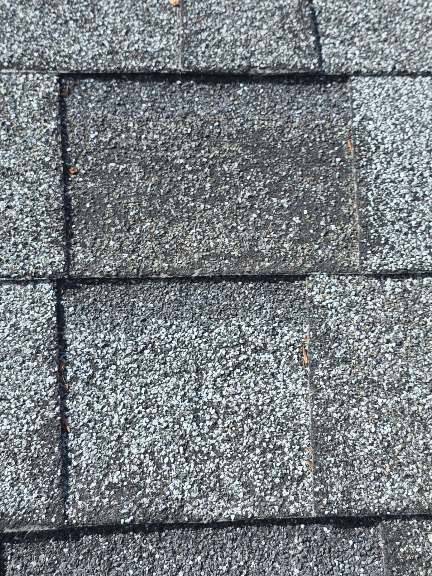Roof Rejuvenation using Roof Maxx Treatment by Roof Maxx of Folsom