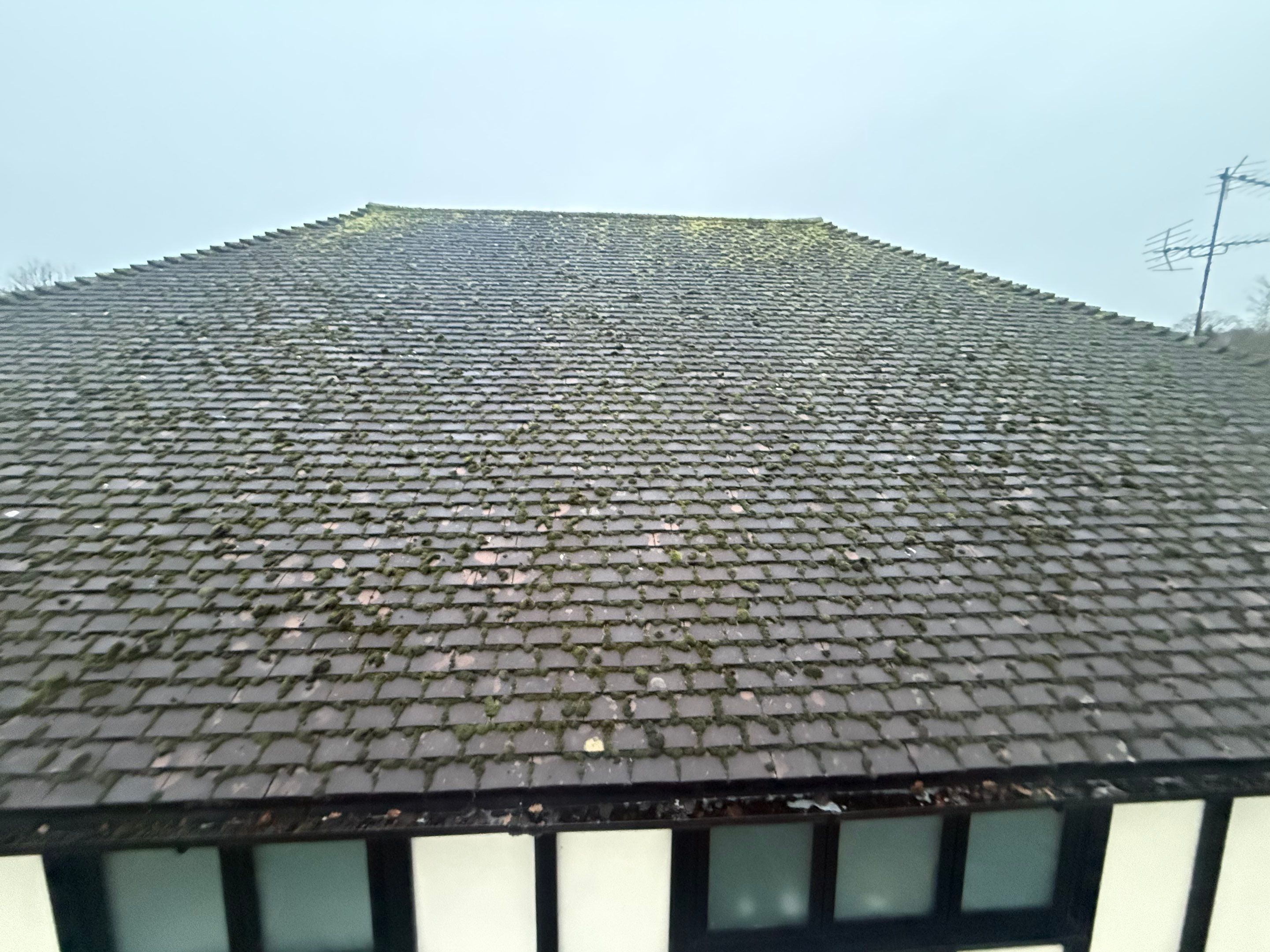 Roof Cleaning Kingswood by Ges Exterior Cleaning ltd