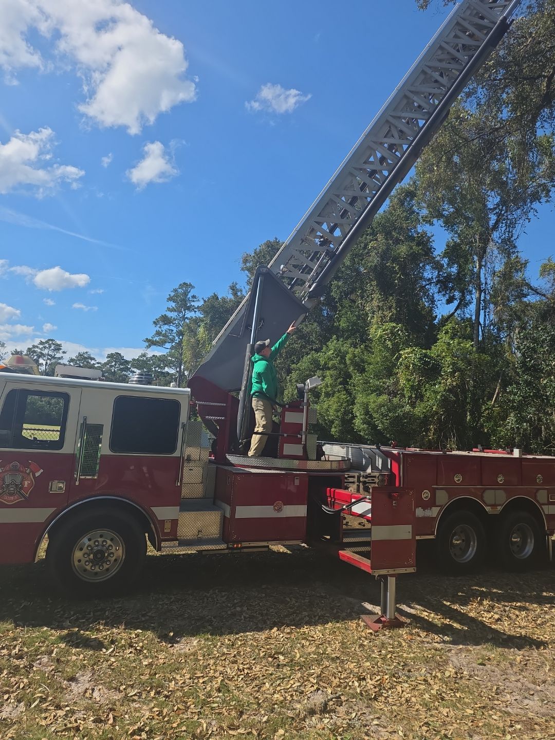 Episcopal | Large Tree Removal by ProGreen Services