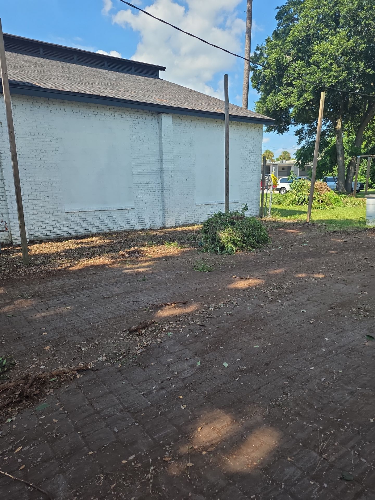 Commercial Property | Clean Up & Tree Removal by ProGreen Services