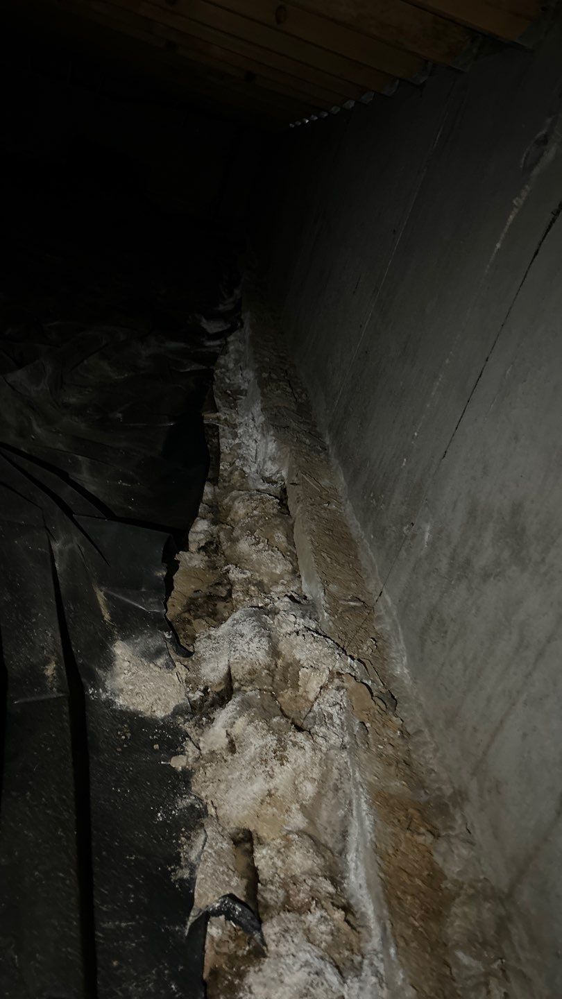 Mold Damage by Accountable Home Services