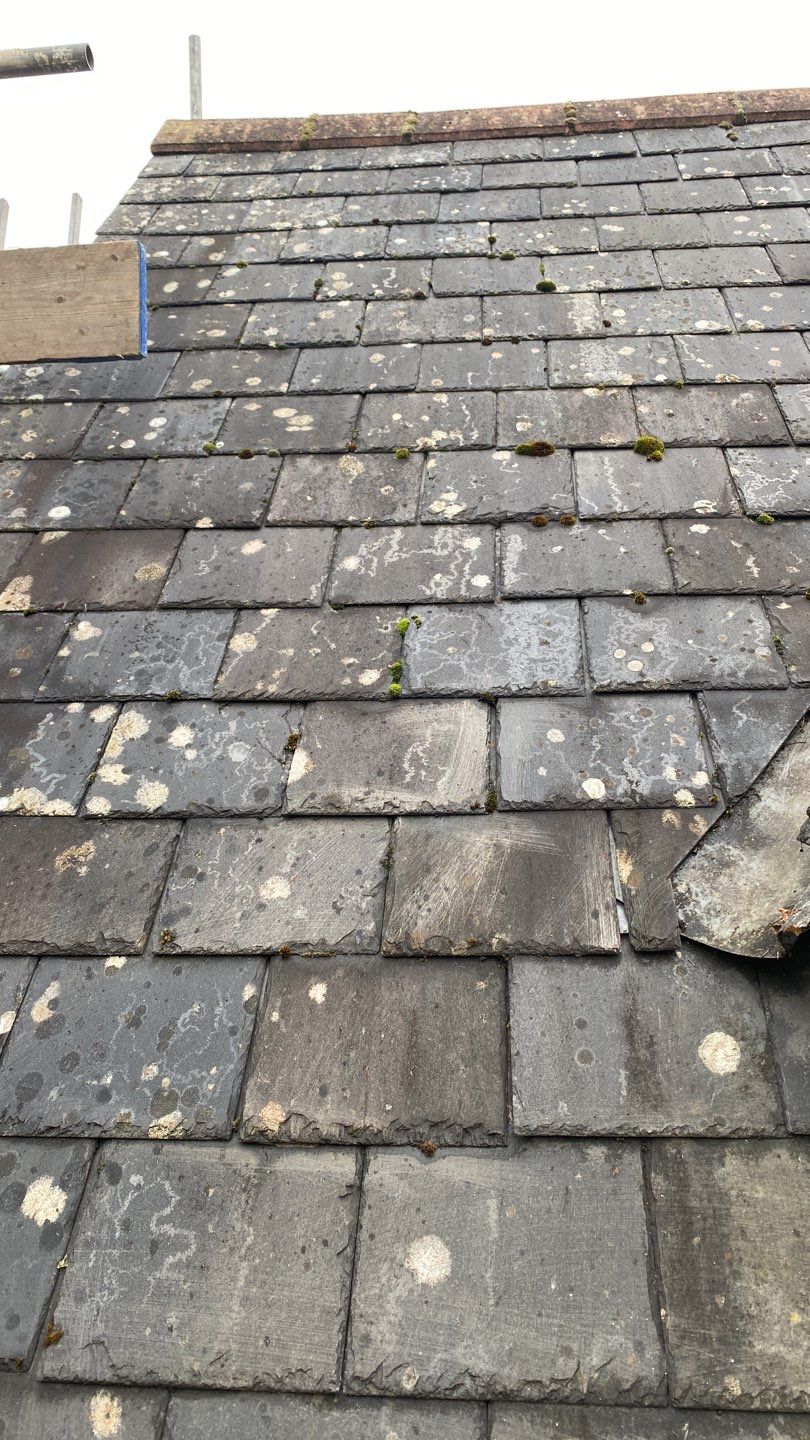Roof Clean using Mosmatic FSC and Biocide by Ges Exterior Cleaning ltd