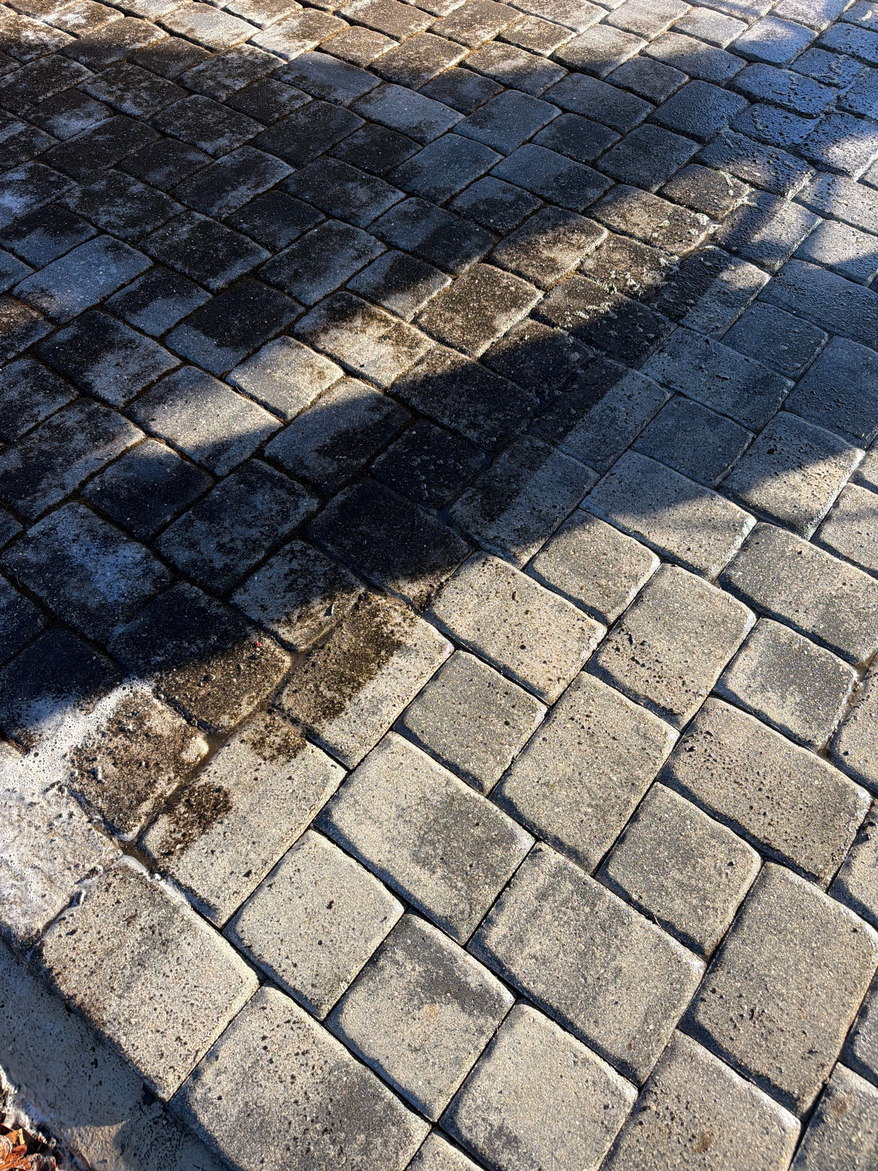 Paver Driveway and Walkway Restoration in Sun City Center by Supreme Paver Experts