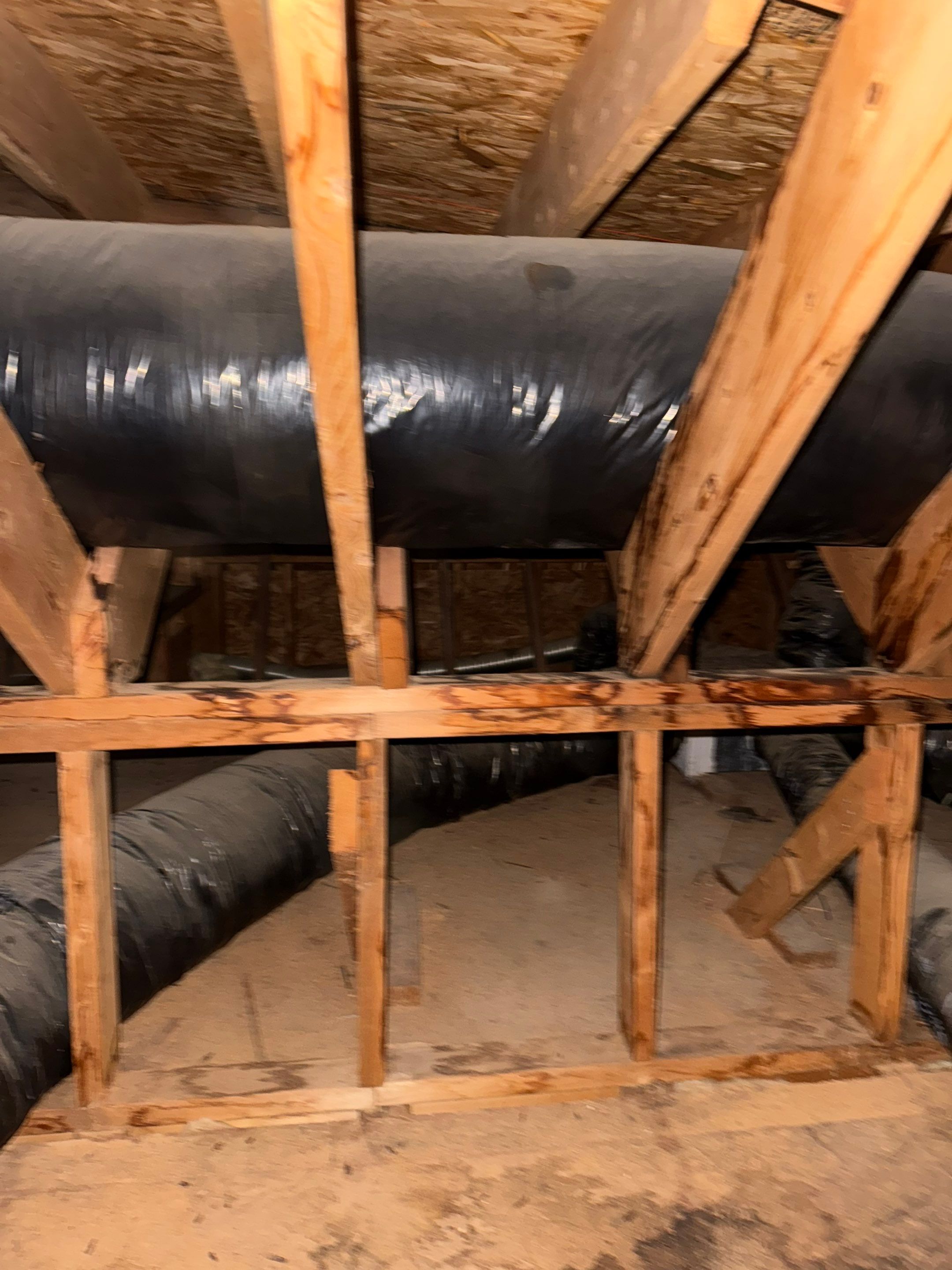 Project in Raleigh - TPO roof replacements  by Pro Performance Roofing