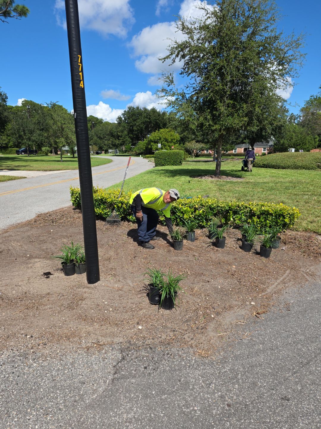 Deerwood Community | Island Landscape Replacement by ProGreen Services