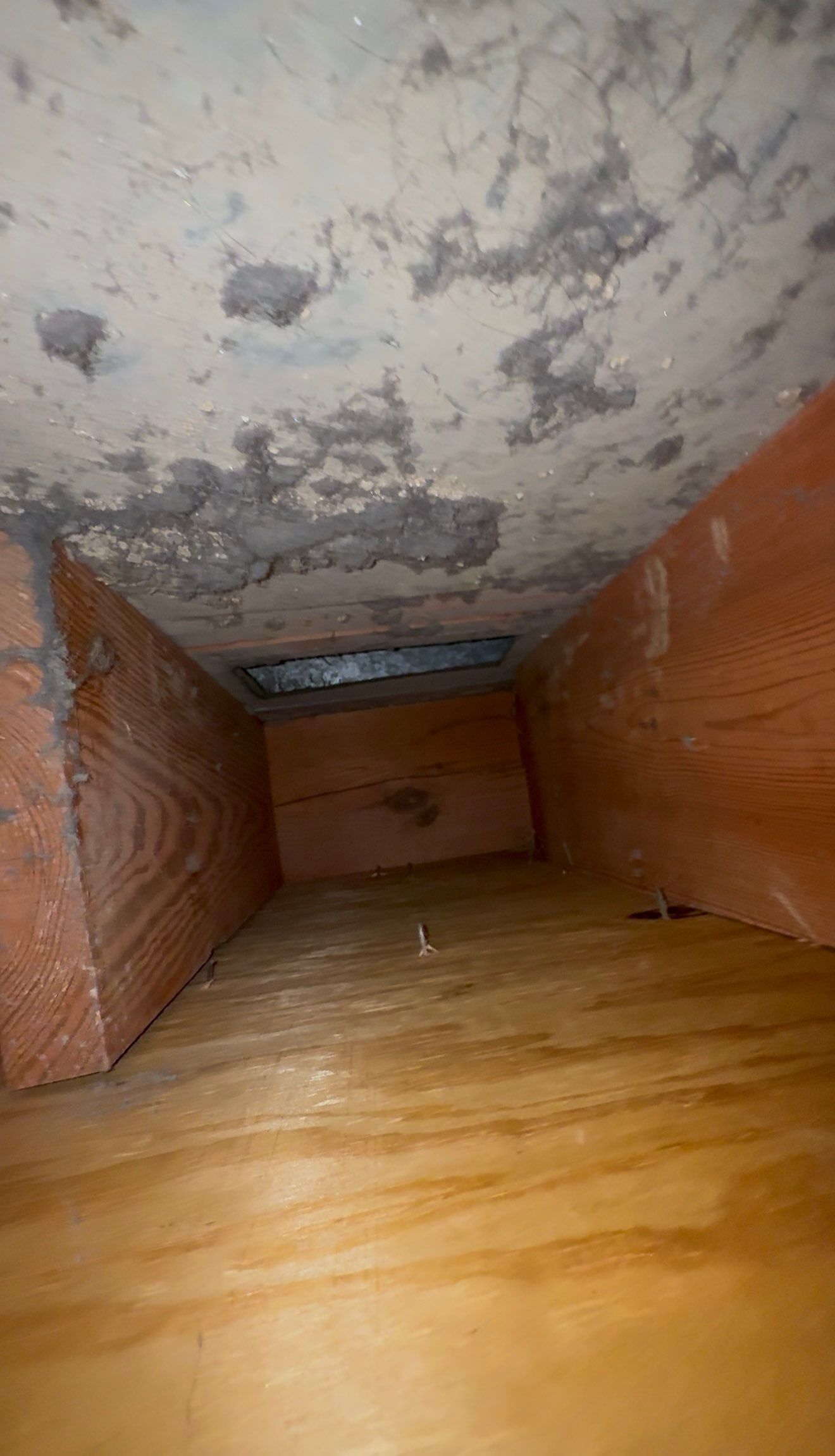 Duct Cleaning and Sanitizing in Middletown by Elemental Heating and air conditioning LLC