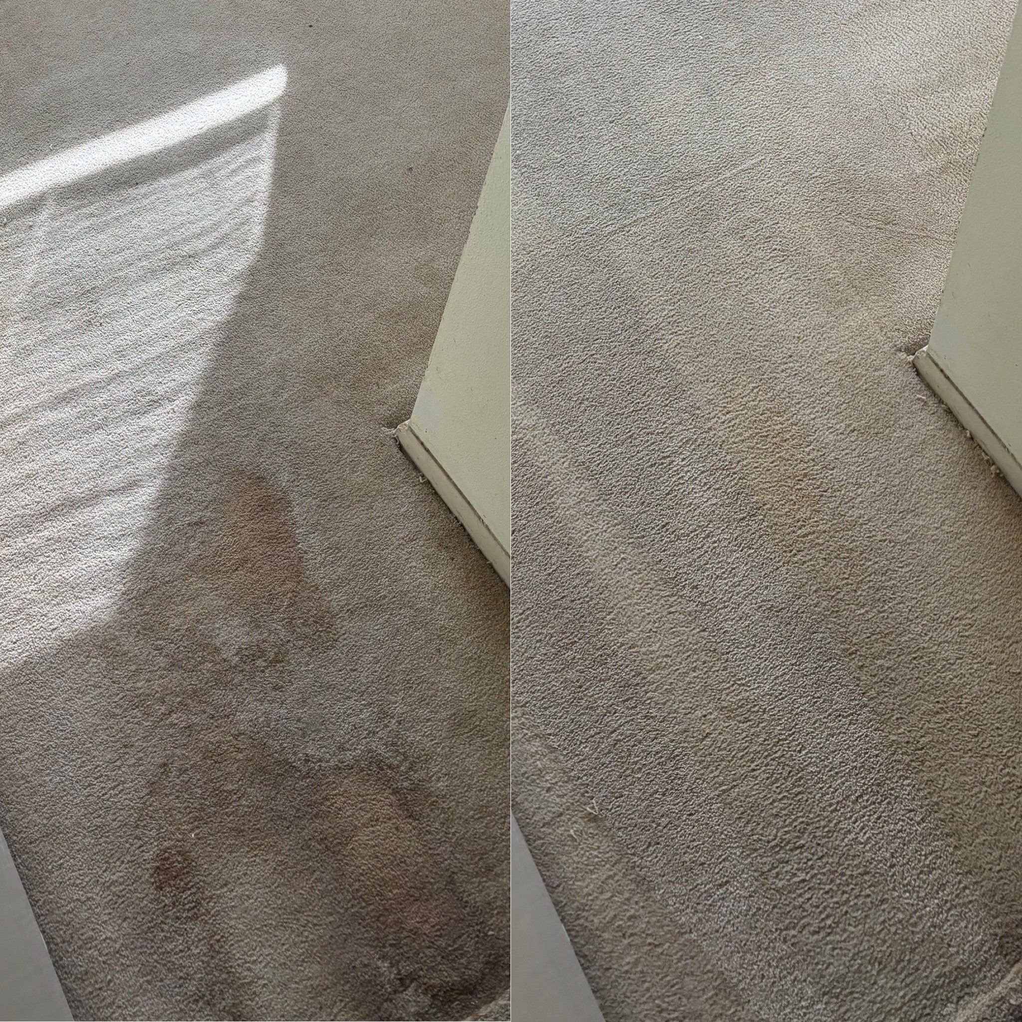 the service being done is deep cleaning of carpet removing stains and freshening up the fibers for a cleaner appearance