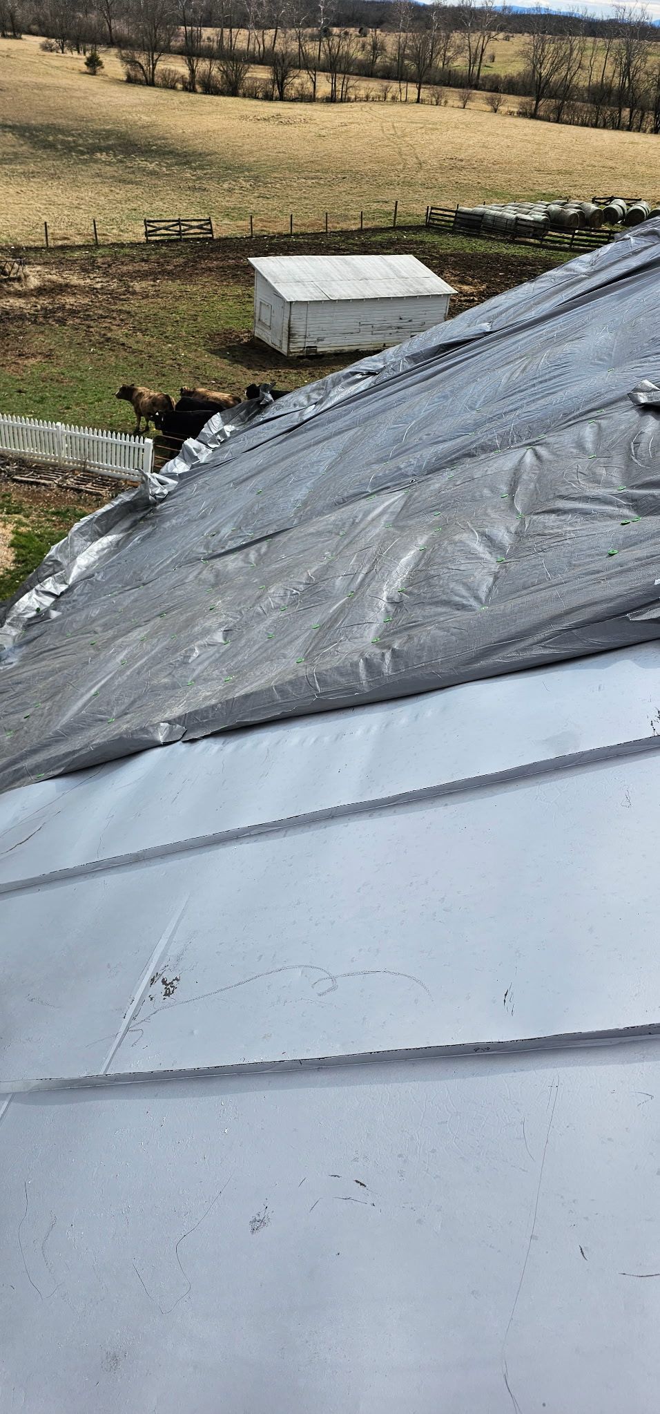 Metal Roof Replacement by Winchester Roofing