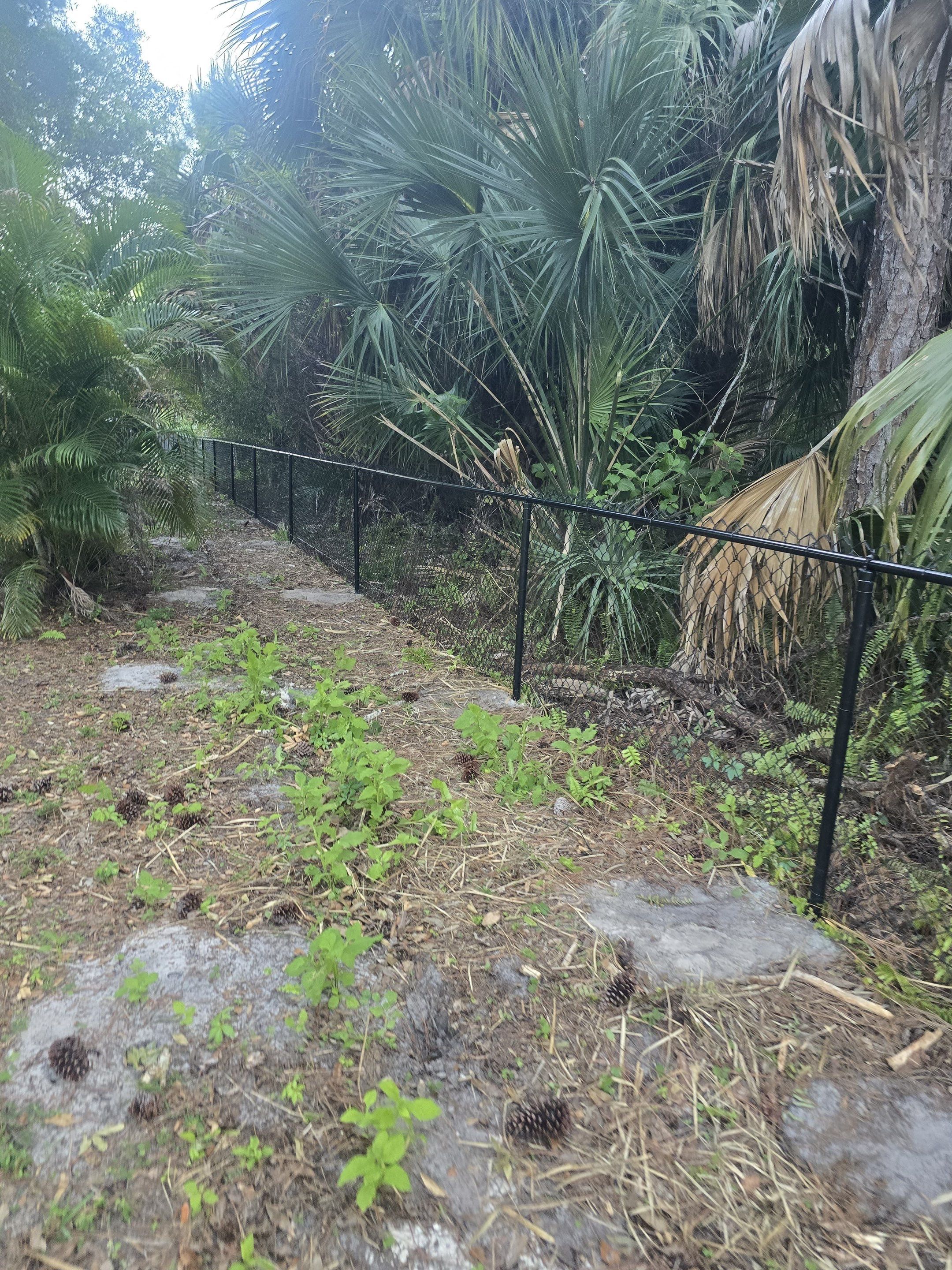 Chain Link Fence in Naples by True Fence LLC