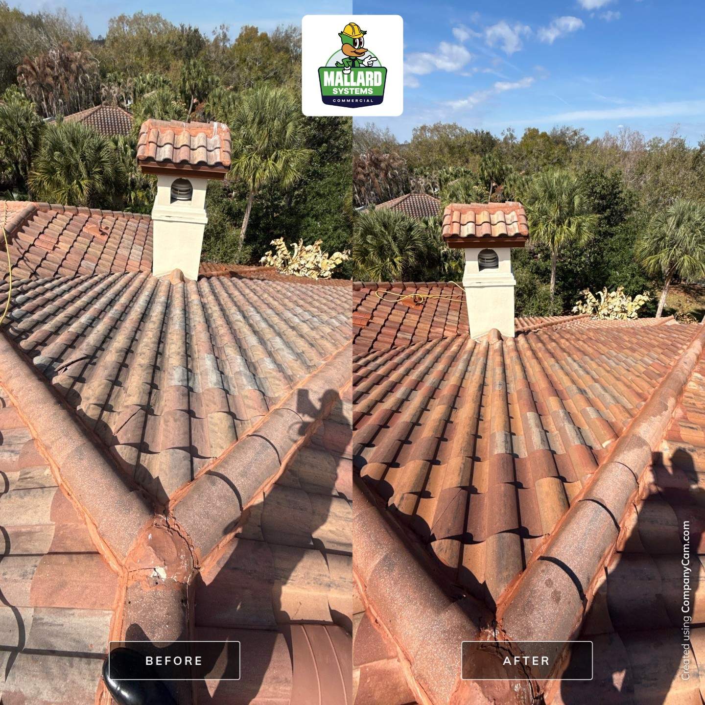 Tile Roof Cleaning by Mallard Systems