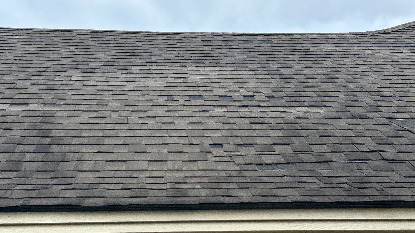 PAM M by Boss Hogg Roofing