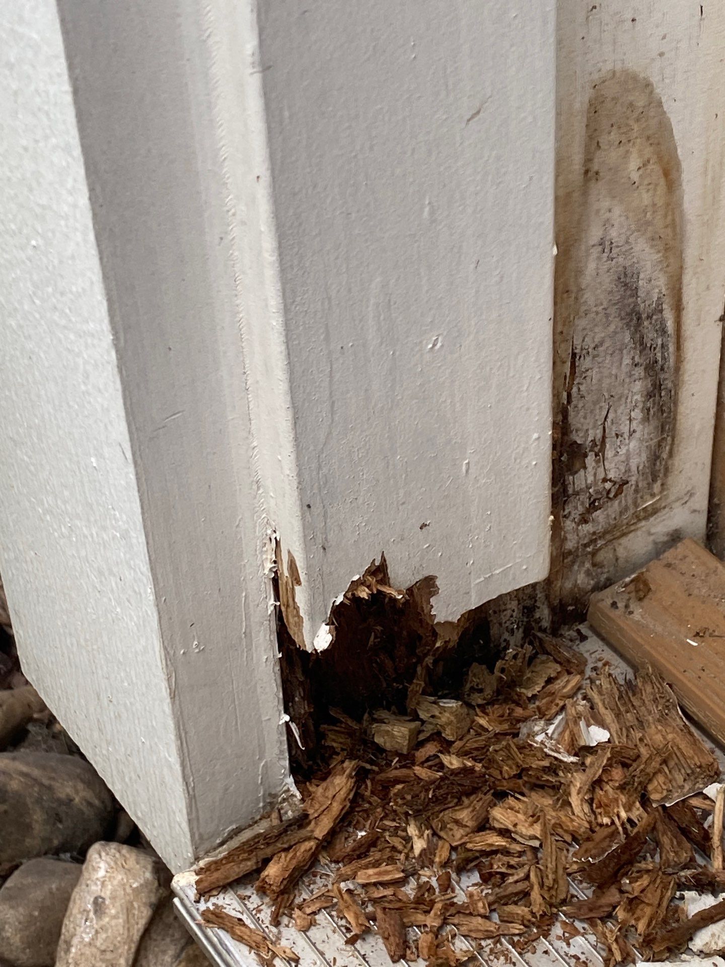 Project in Cape Girardeau by Duncan Painting And Wallcovering