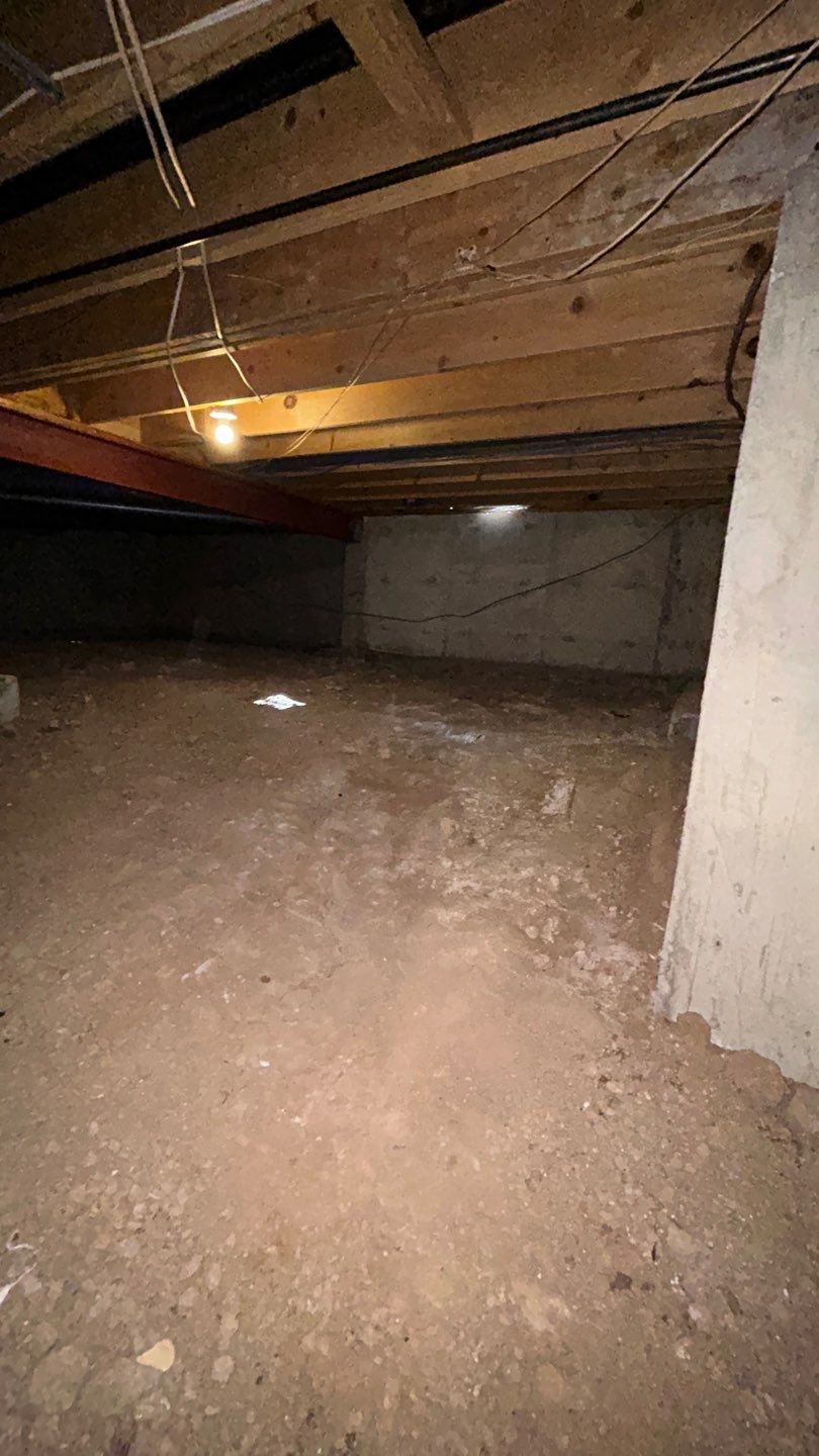 Mold Damage by Accountable Home Services