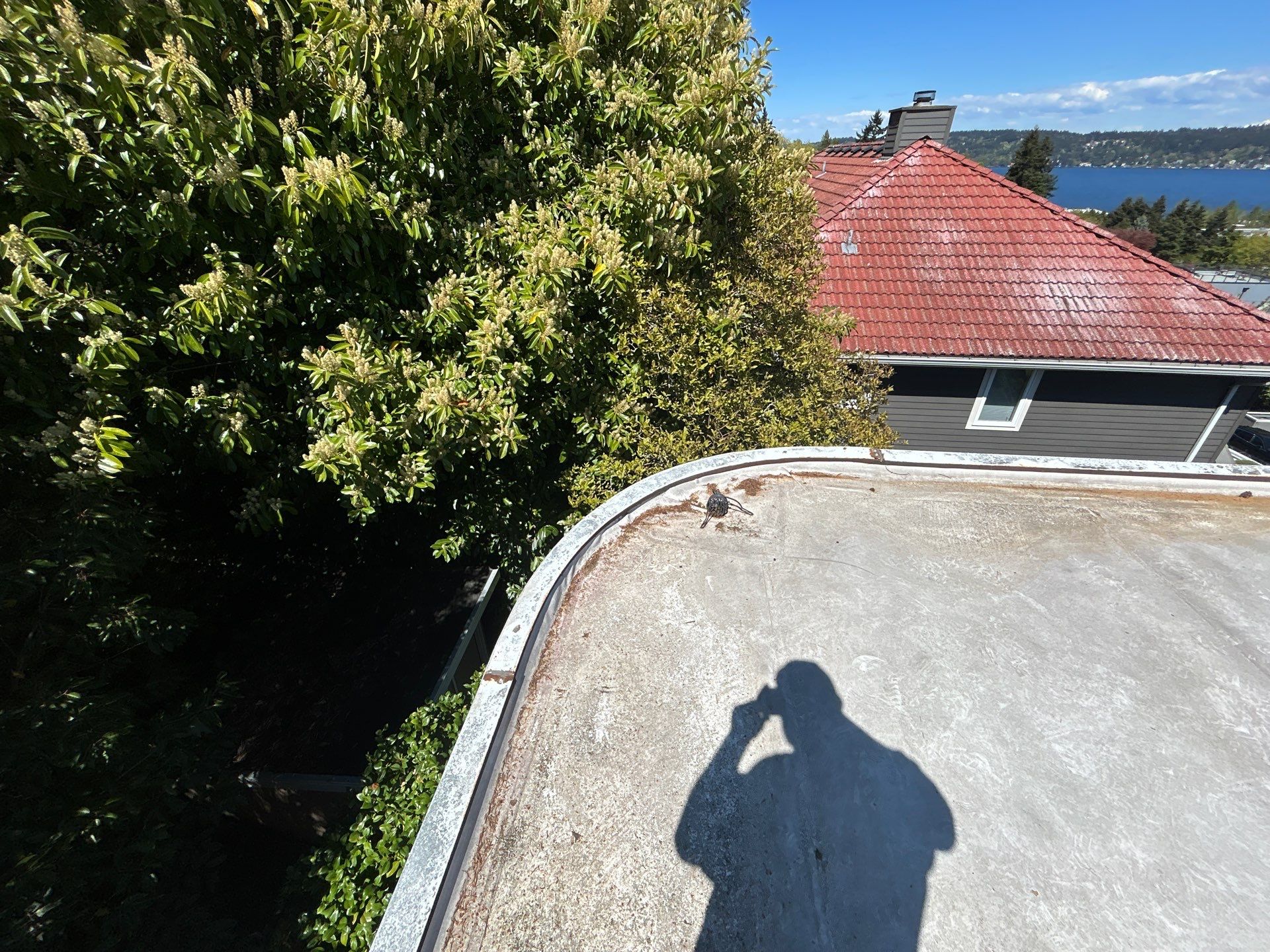 Project in Seattle by Peaks and Valleys Construction