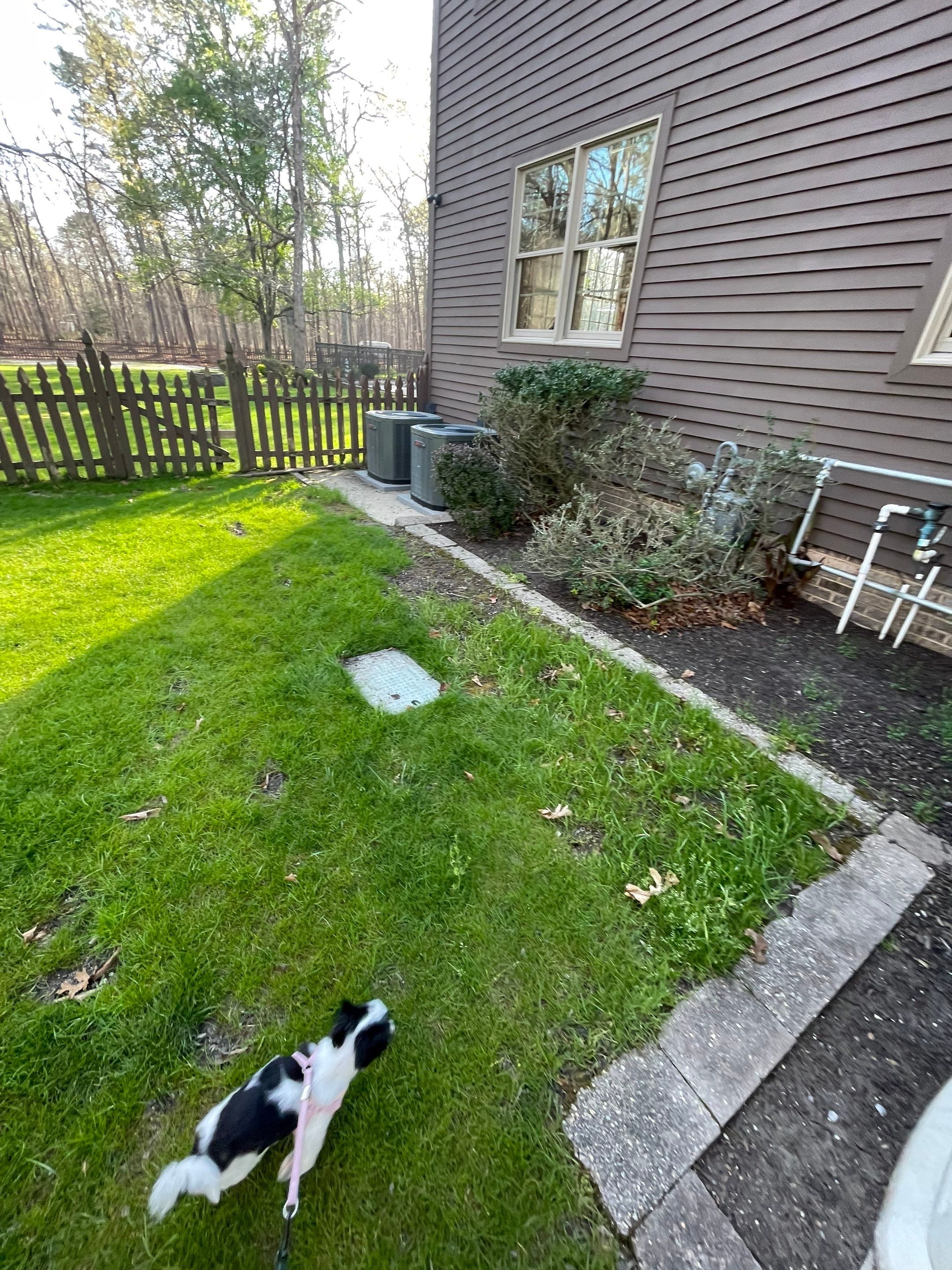 Pavers Cleaned, Garage and Concrete walls by SJ Exterior