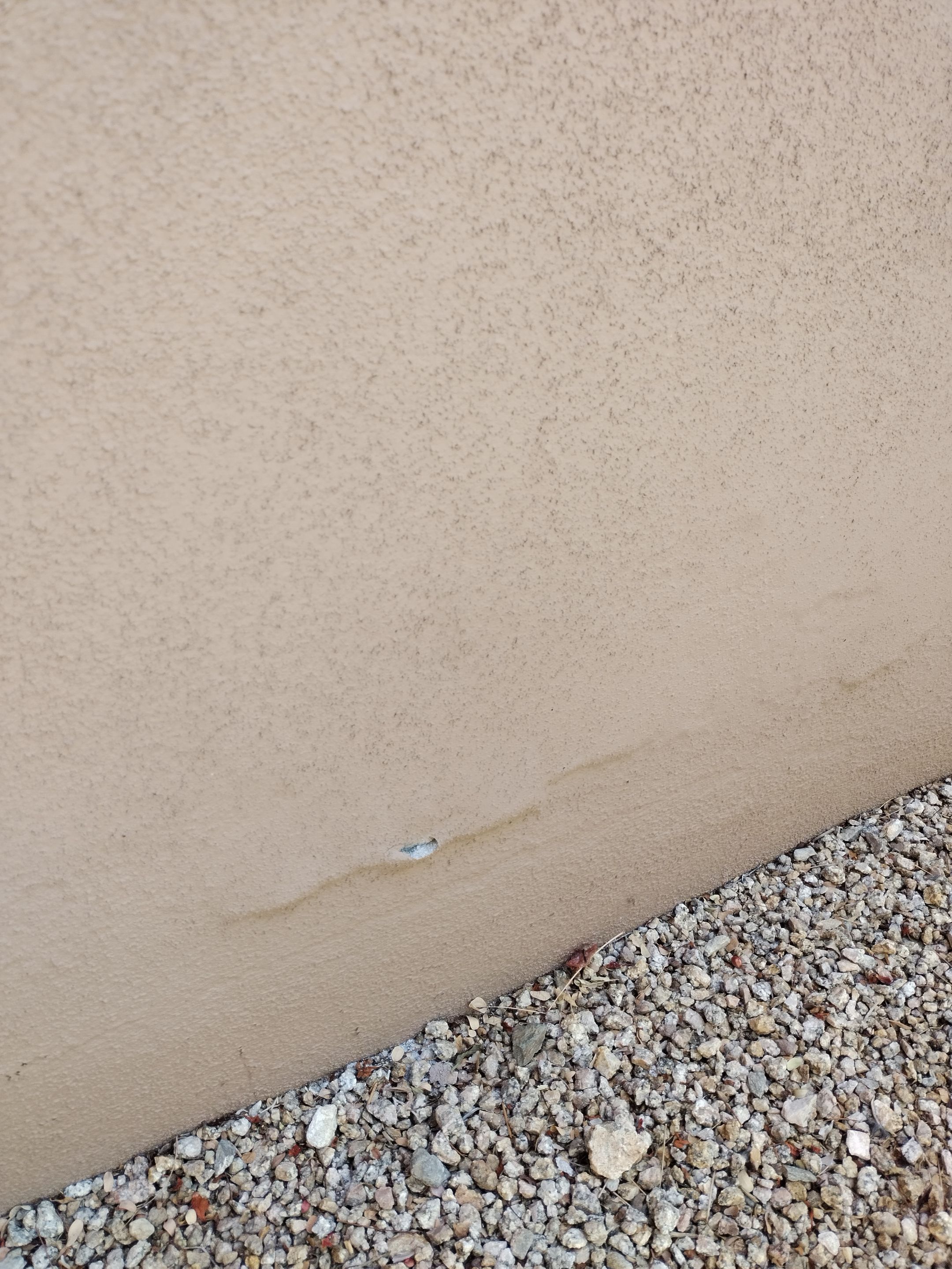 Exterior Painting & Garage Floor Coating - Scottsdale by Crash of Rhinos Painting & Garage Floors
