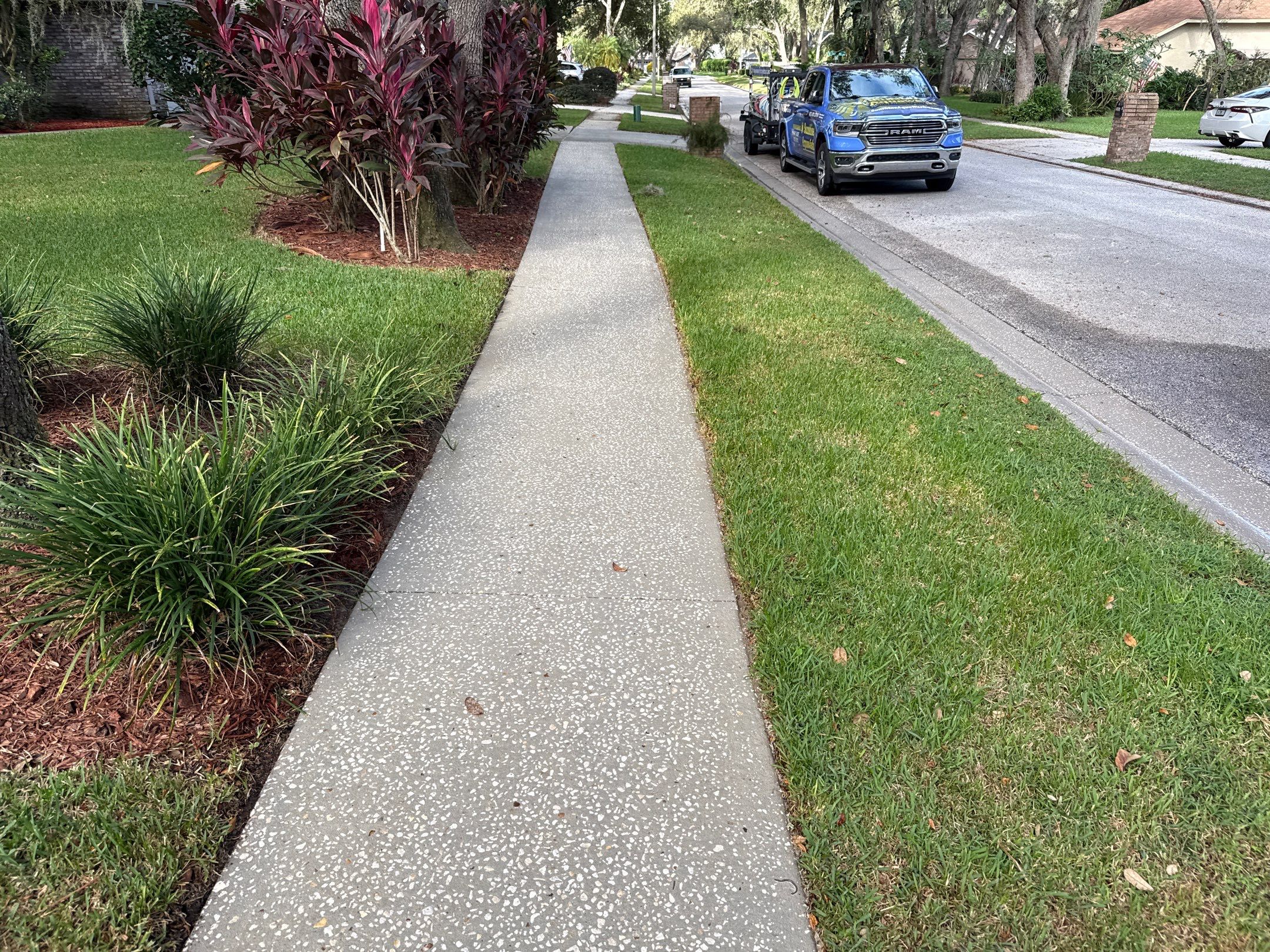 Concrete Driveway & Sidewalk Cleaning in Valrico, FL by Sunshine AquaWash