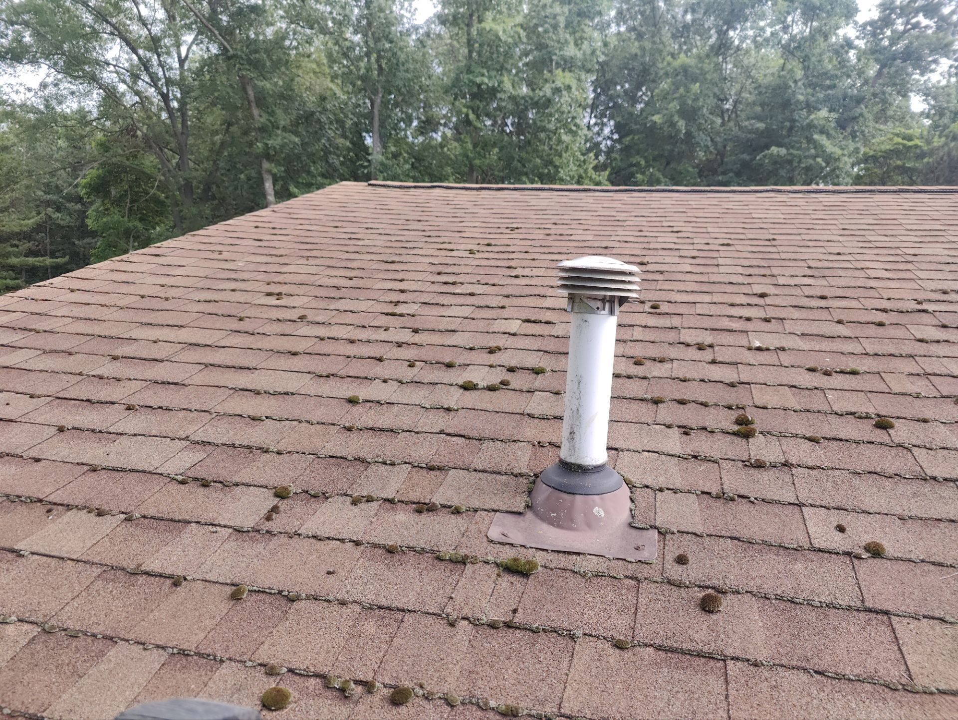 Roof Replacement using Owens Corning Williamsburg Grey by 180 Contractors