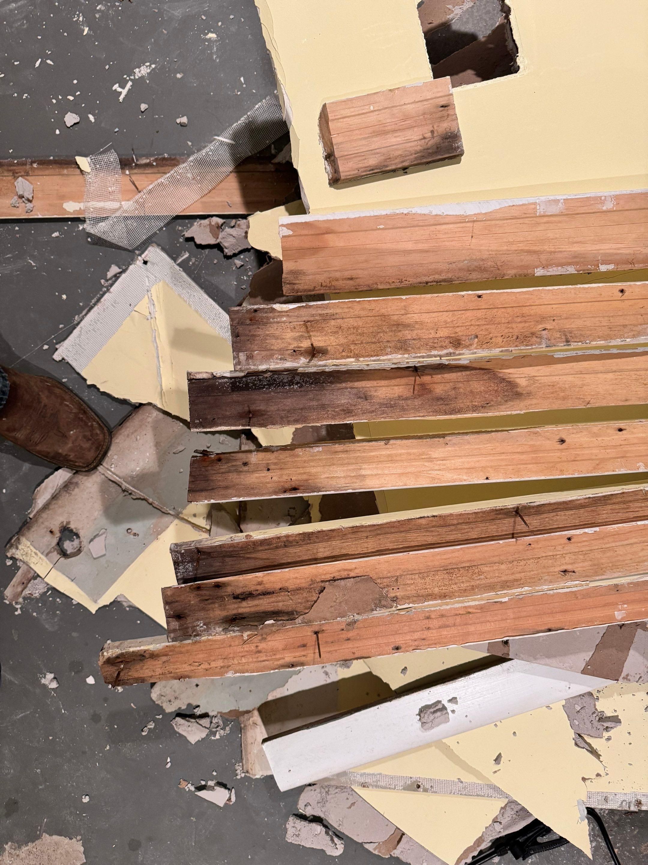 Mold Remediation using Home Guarantee by Home Guarantee, LLC