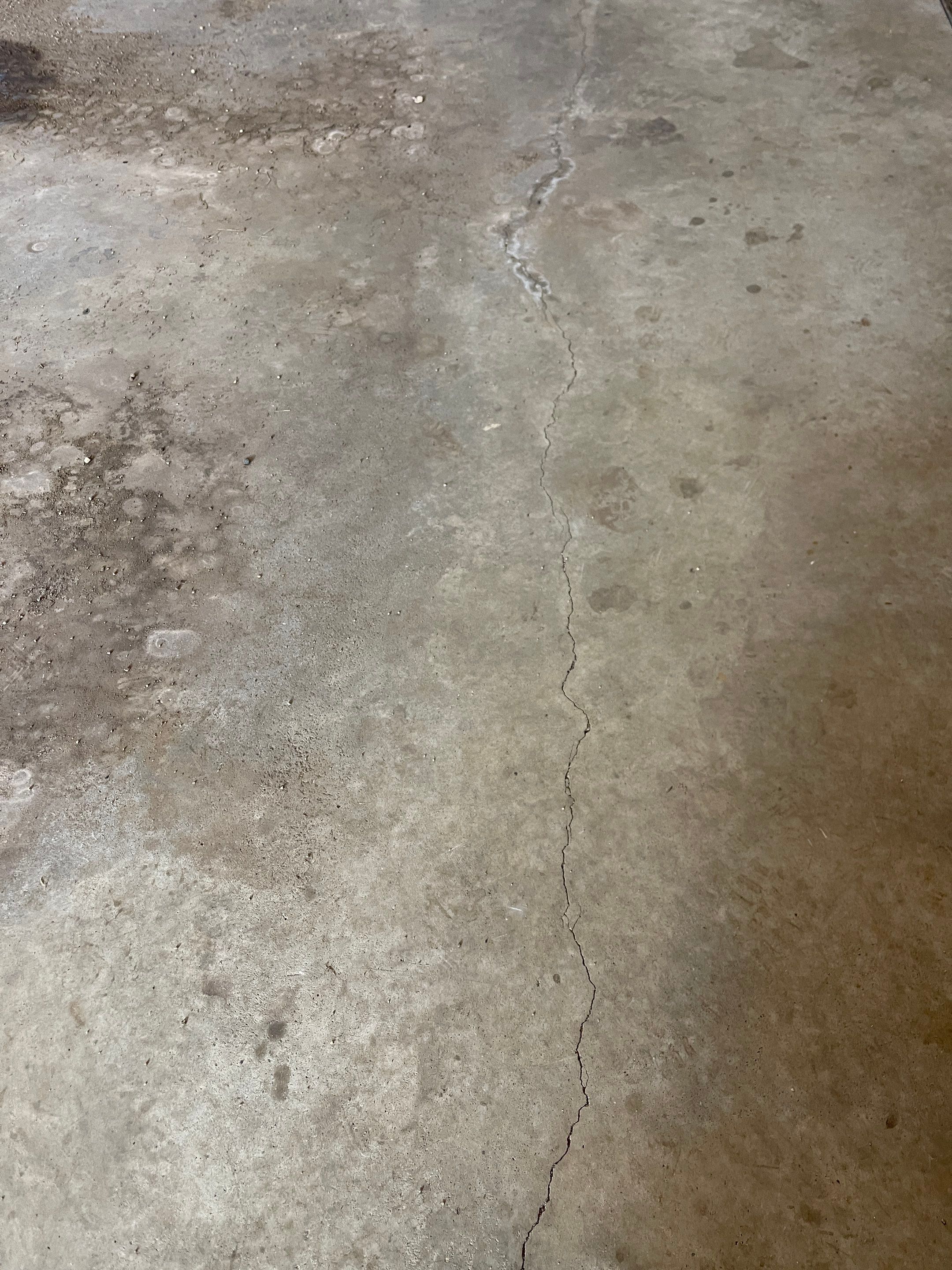 Garage using Silver Creek by Select Painting, Coatings & Garage Cabinets