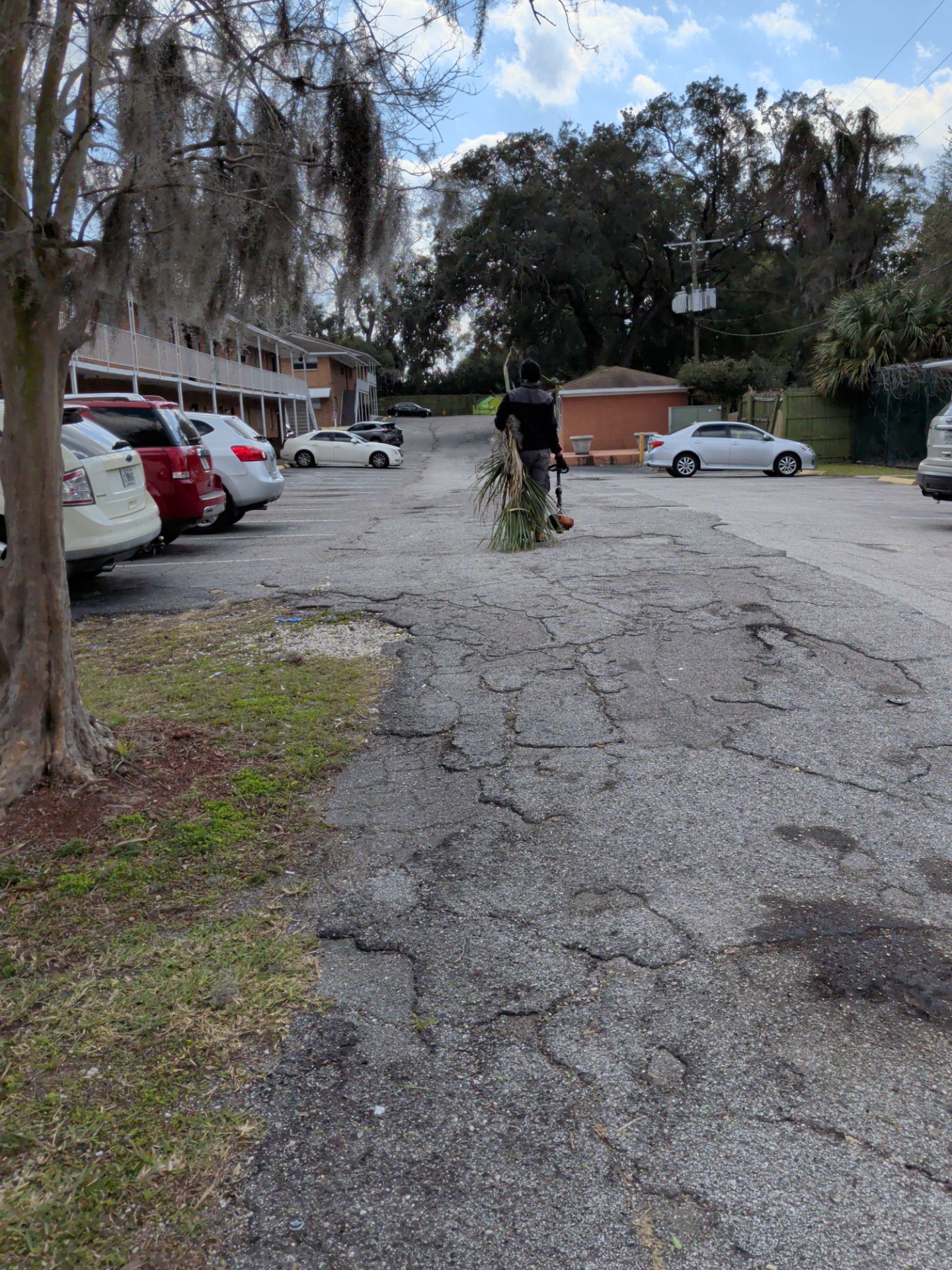 Apartment Landscape Cleanup & Ongoing Grounds Maintenance — Cimarron Apartments (Arlington) by Harmoni Home Services