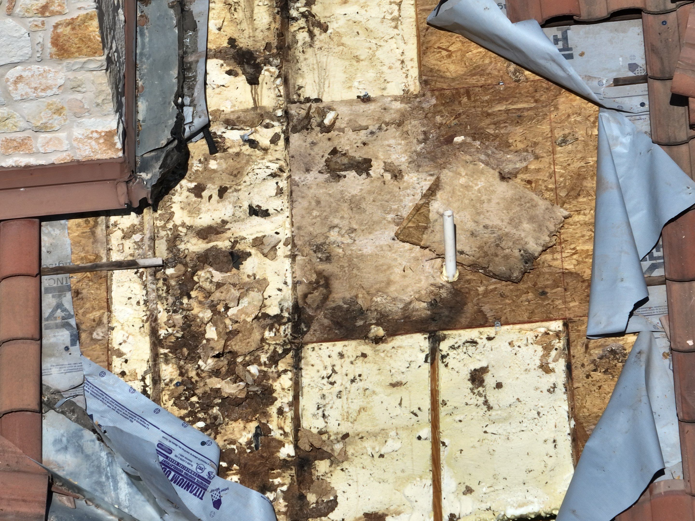 Tile Roof Repair  using Concrete S Tile by Premier Roofing and Contracting