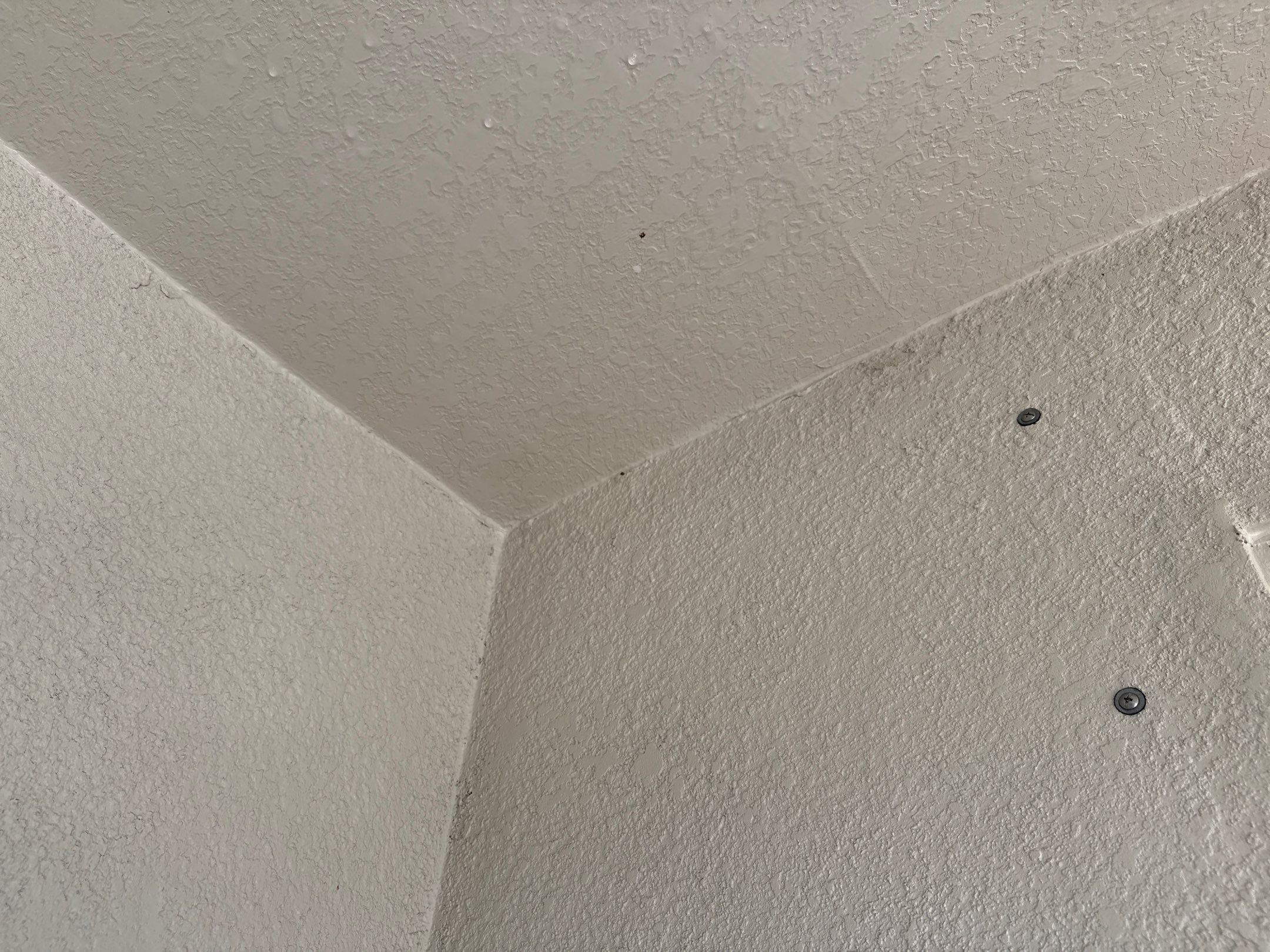 House Wash, Lanai Cleaning & Driveway Washing | Willow Walk Palmetto FL by Sunshine AquaWash