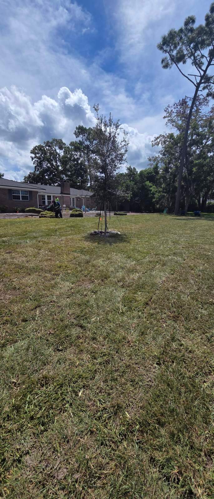 Sod & Landscape Install | Deerwood Community by ProGreen Services