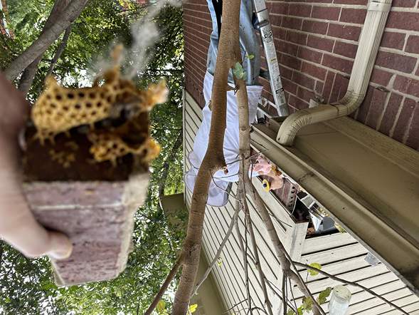 Between Floors by Rockwall Honey Bee Company