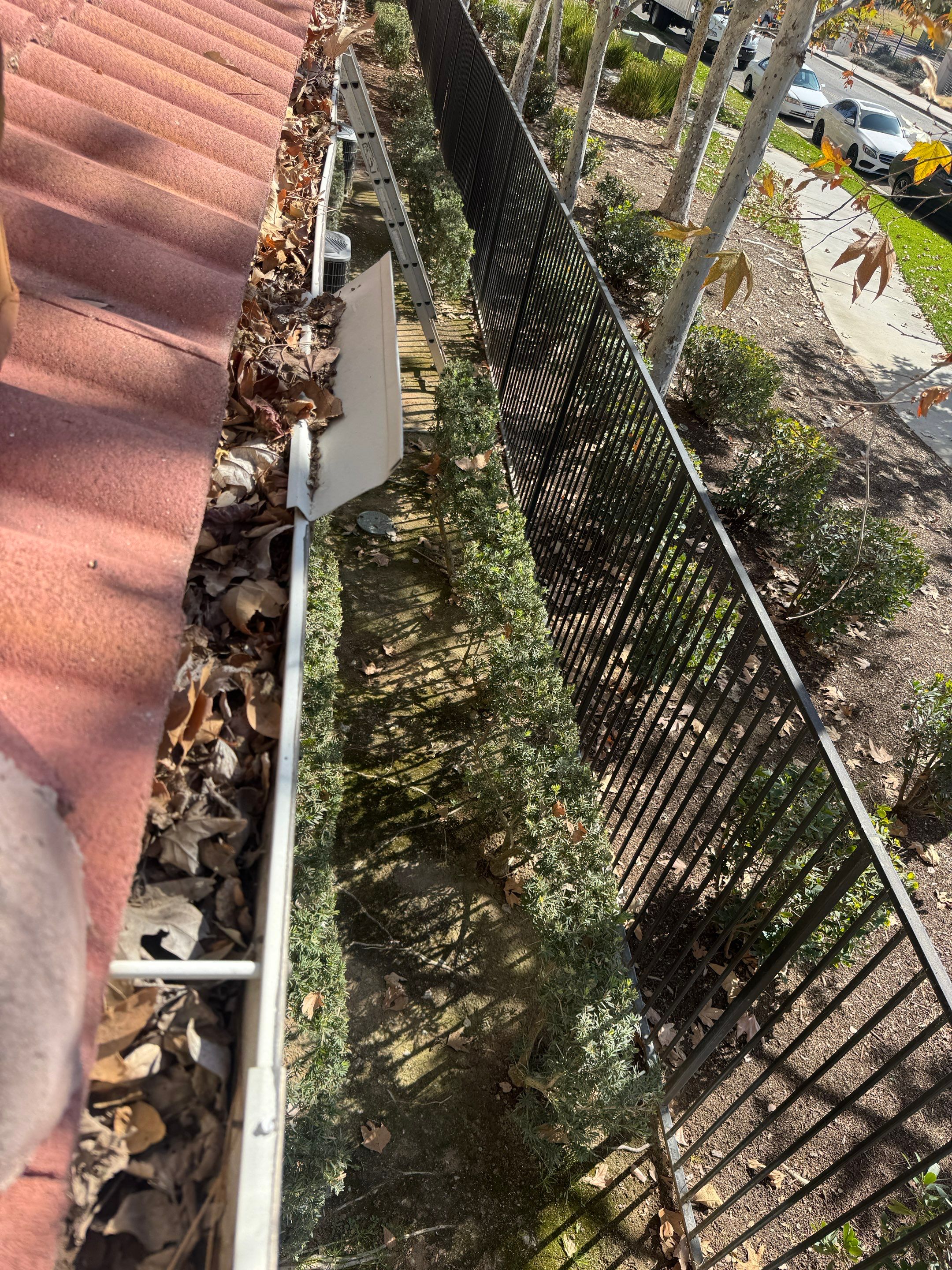 Commercial gutter cleaning Georgia before photo with filled gutters