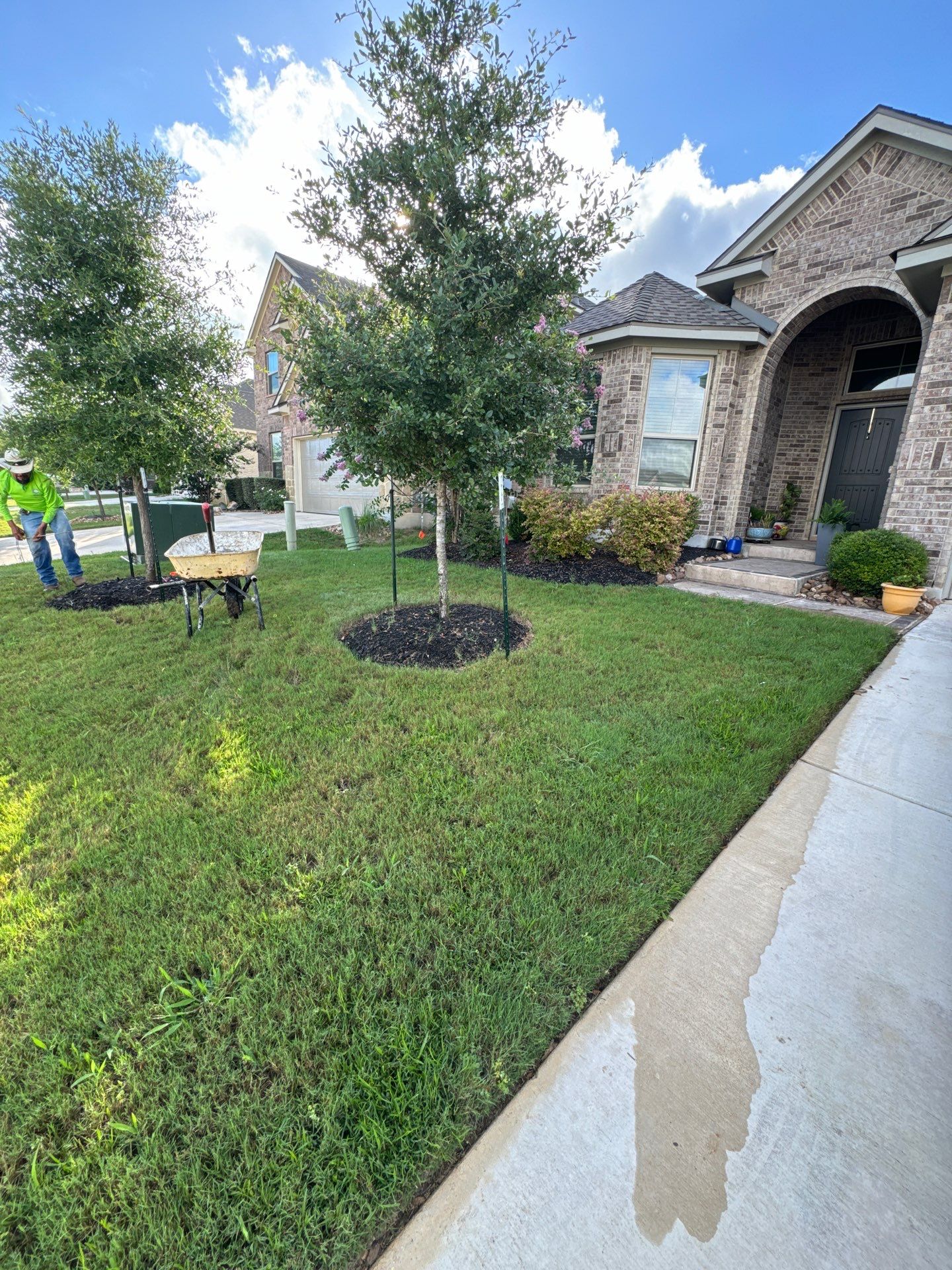 Wortham Oaks - San Antonio, TX by Hole In One Lawns, LLC