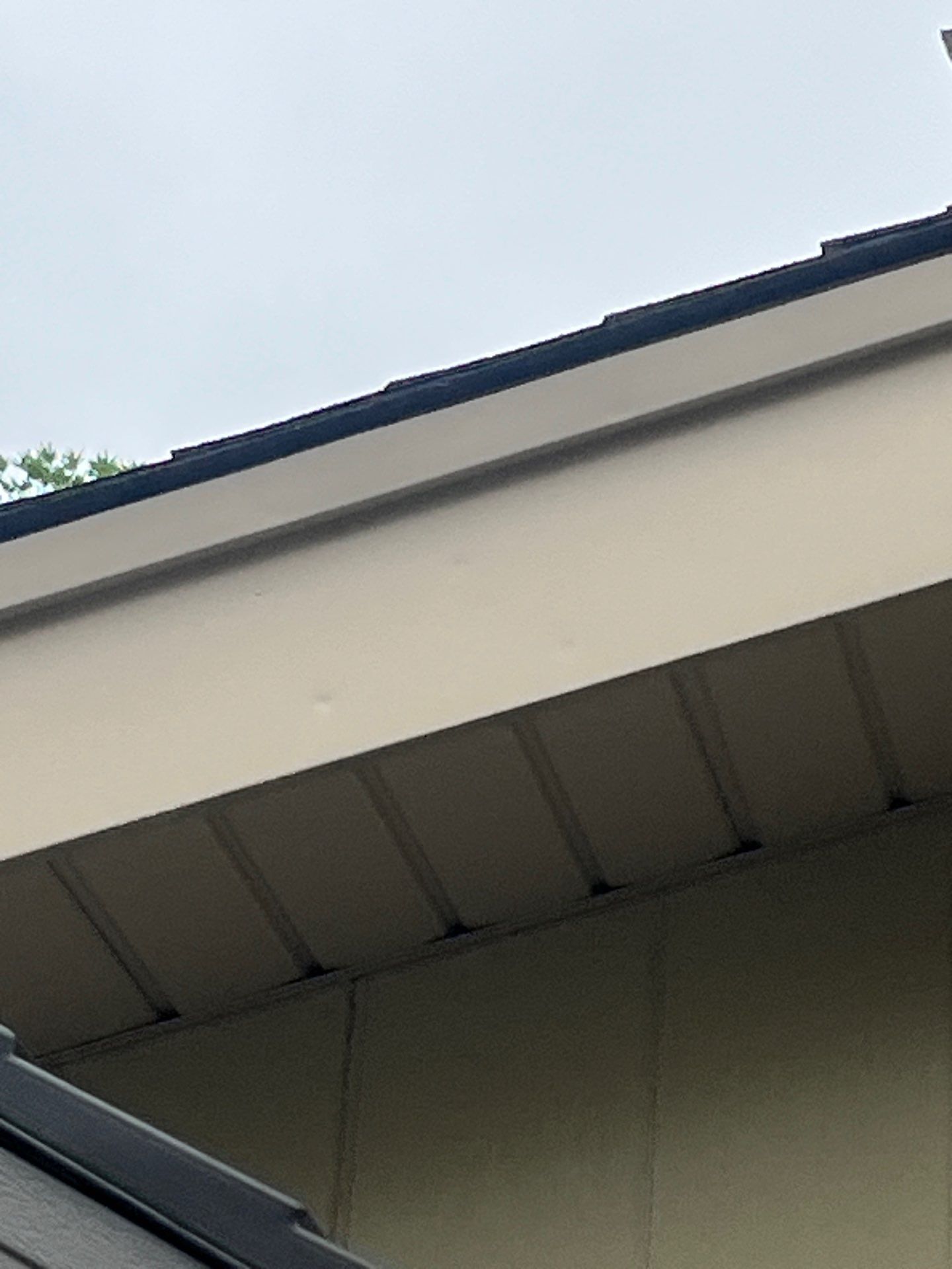 Turtle Roofing featured photo.
