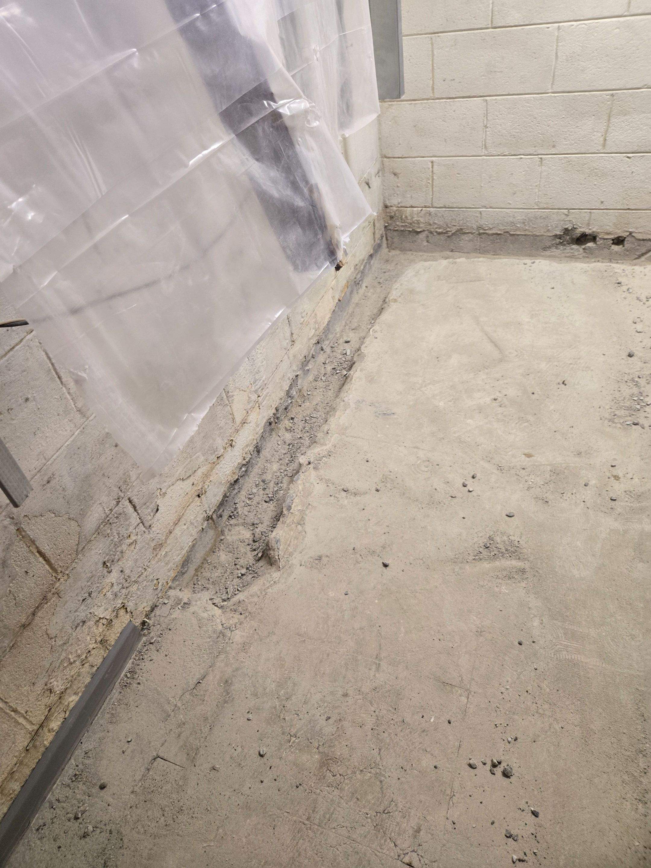 Allied Shield Water Defense (Top Drain) by Allied Water Services