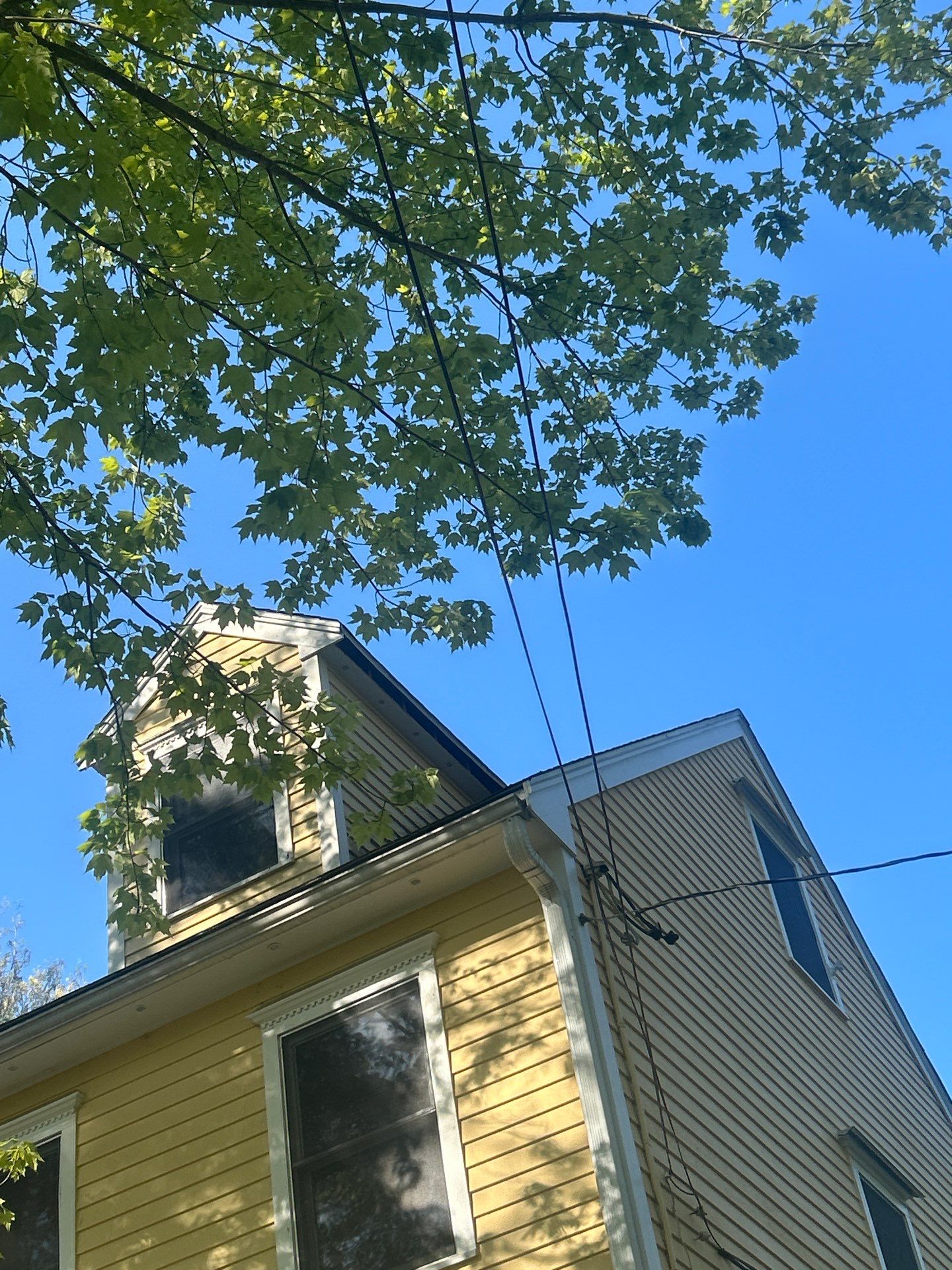 Siding | Dunstable by Mighty Dog Roofing of Greater Middlesex County