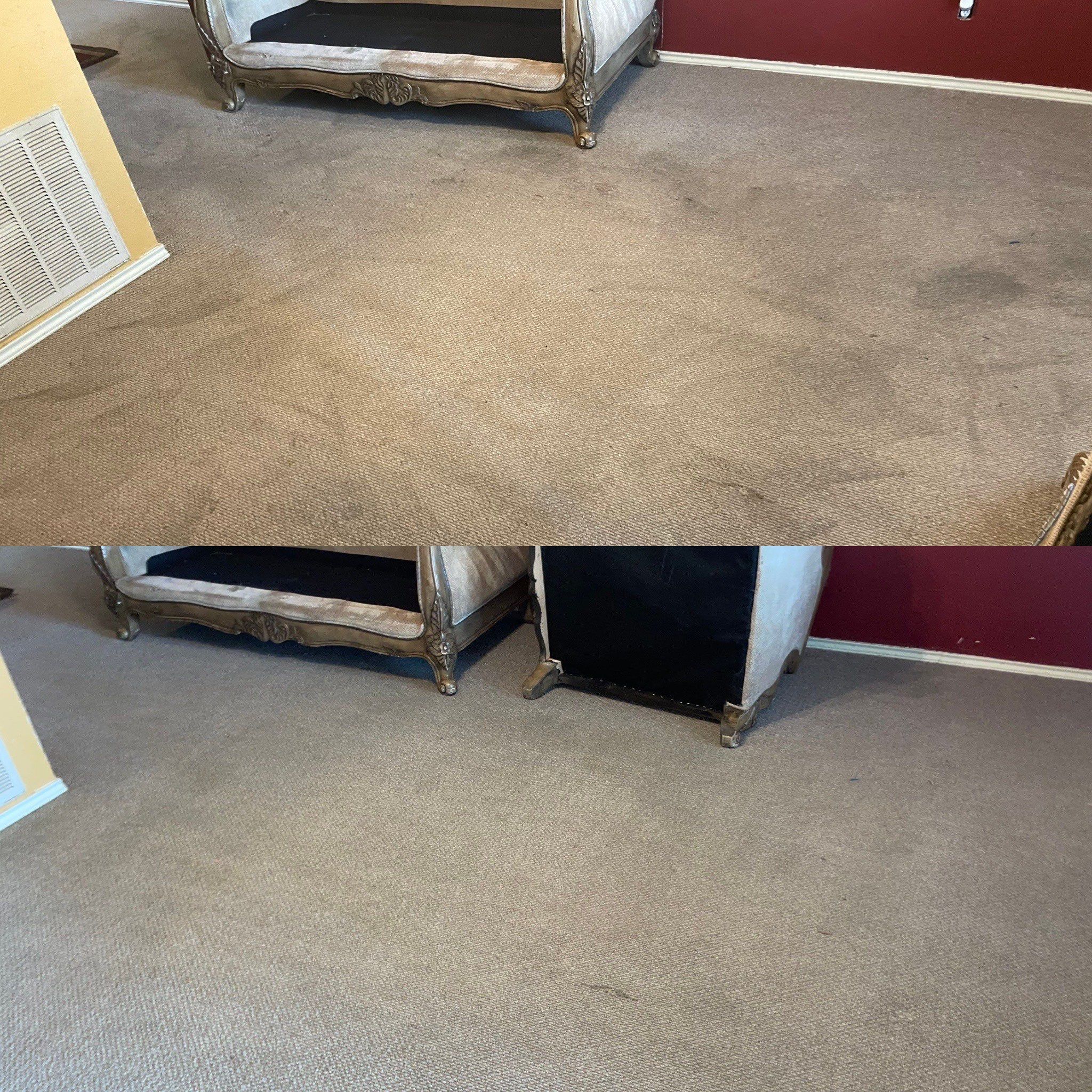 cleaning a carpet with visible stains to make it look almost new and fresh